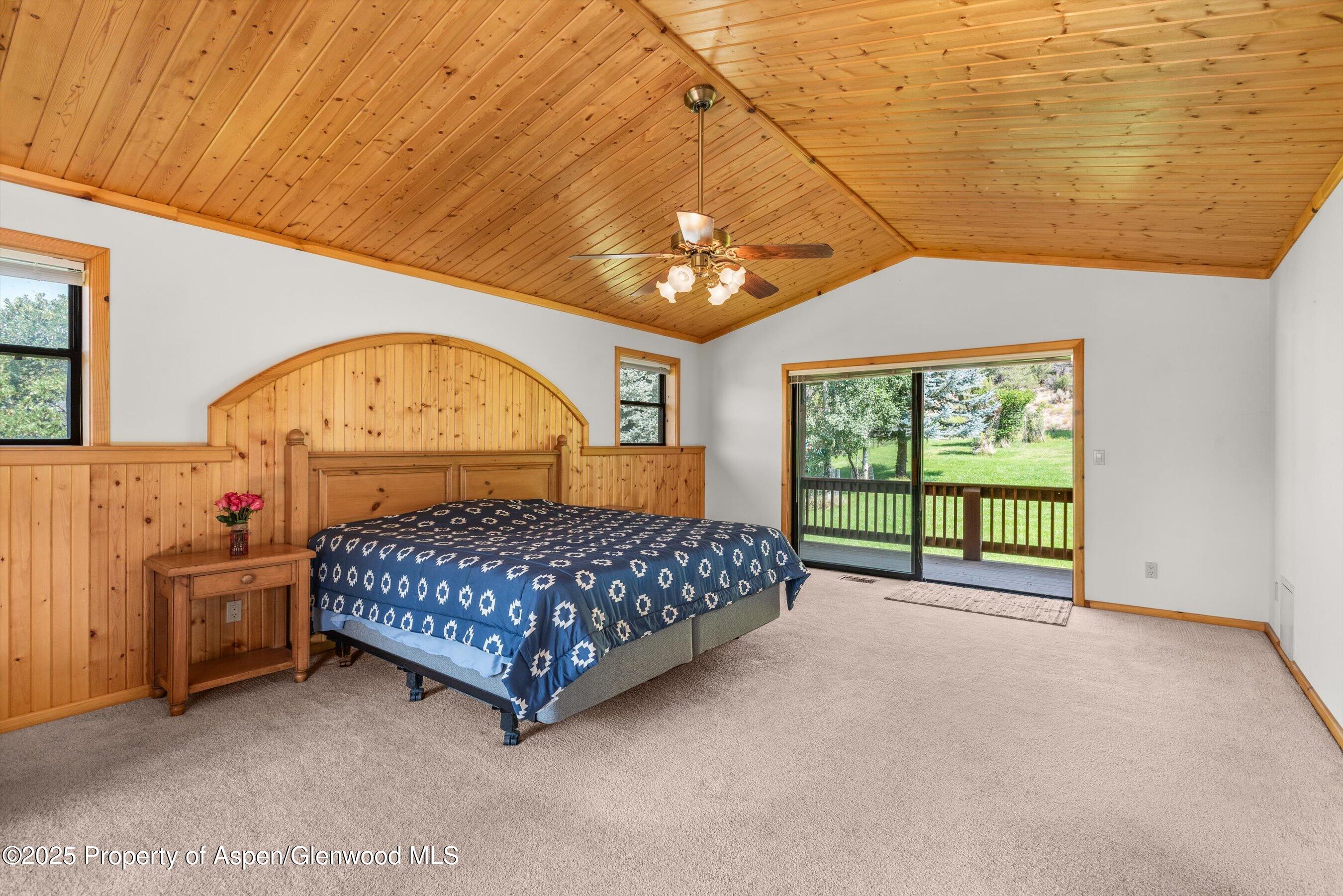 17 Dakota Court Carbondale CO 81623