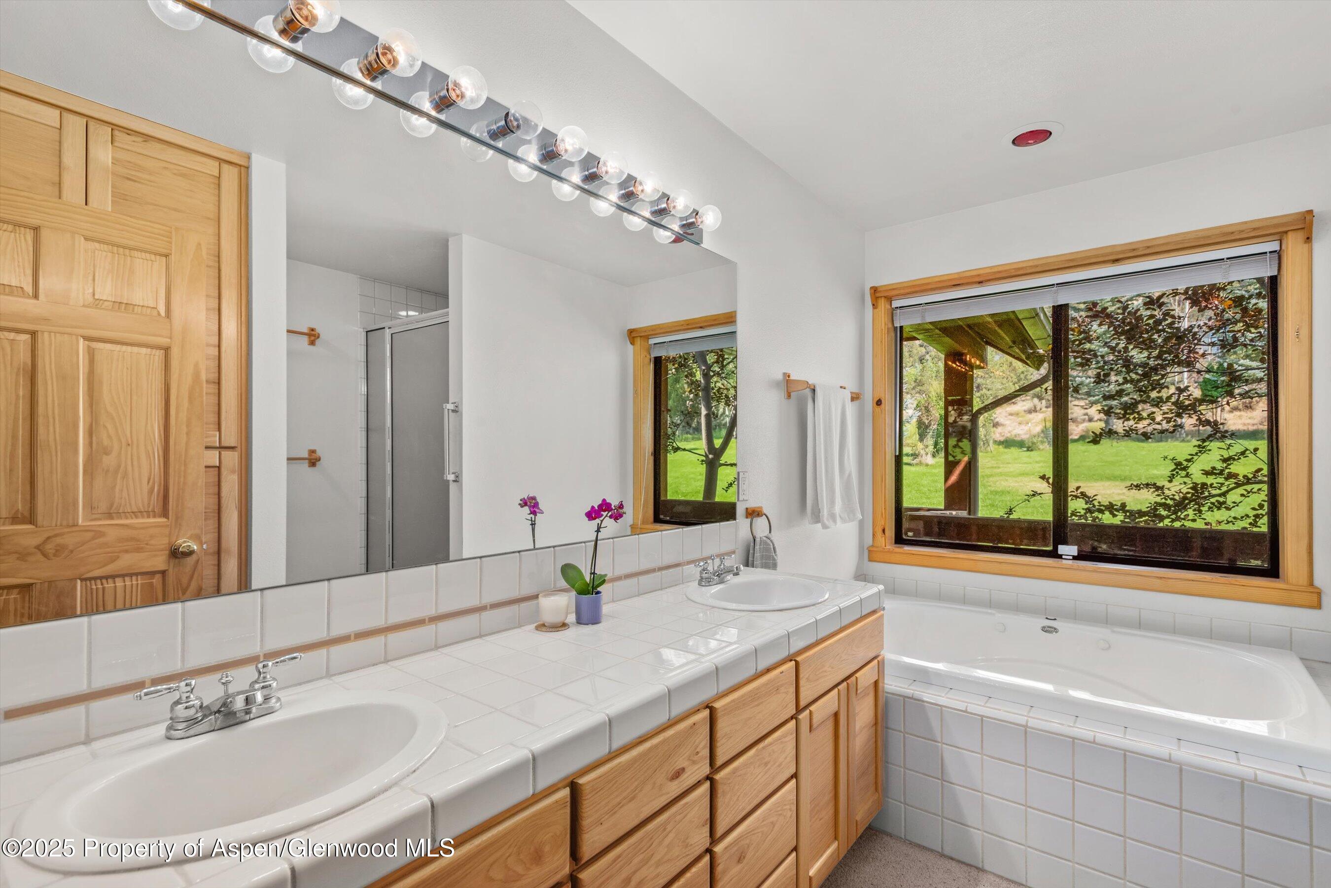 17 Dakota Court Carbondale CO 81623