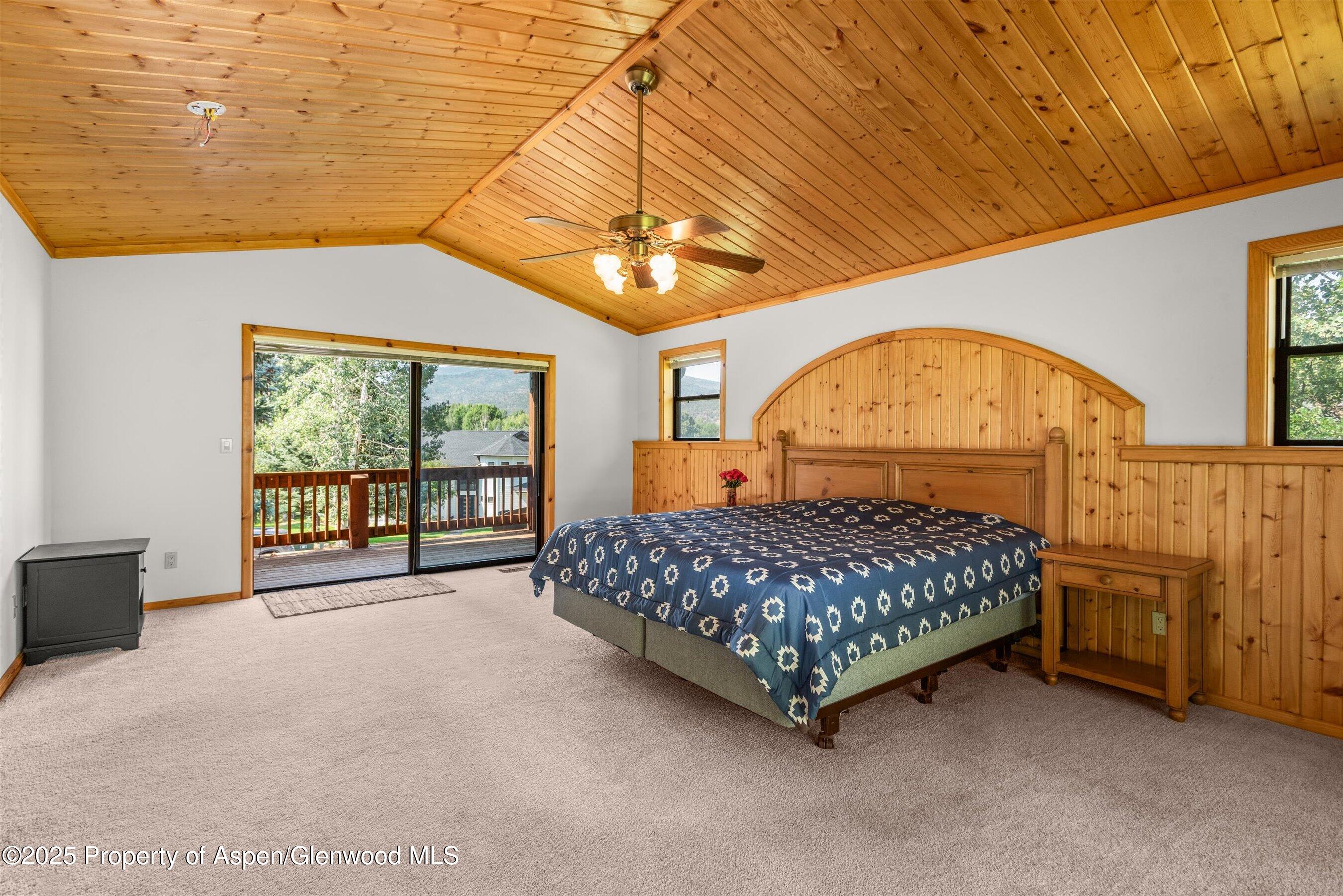 17 Dakota Court Carbondale CO 81623