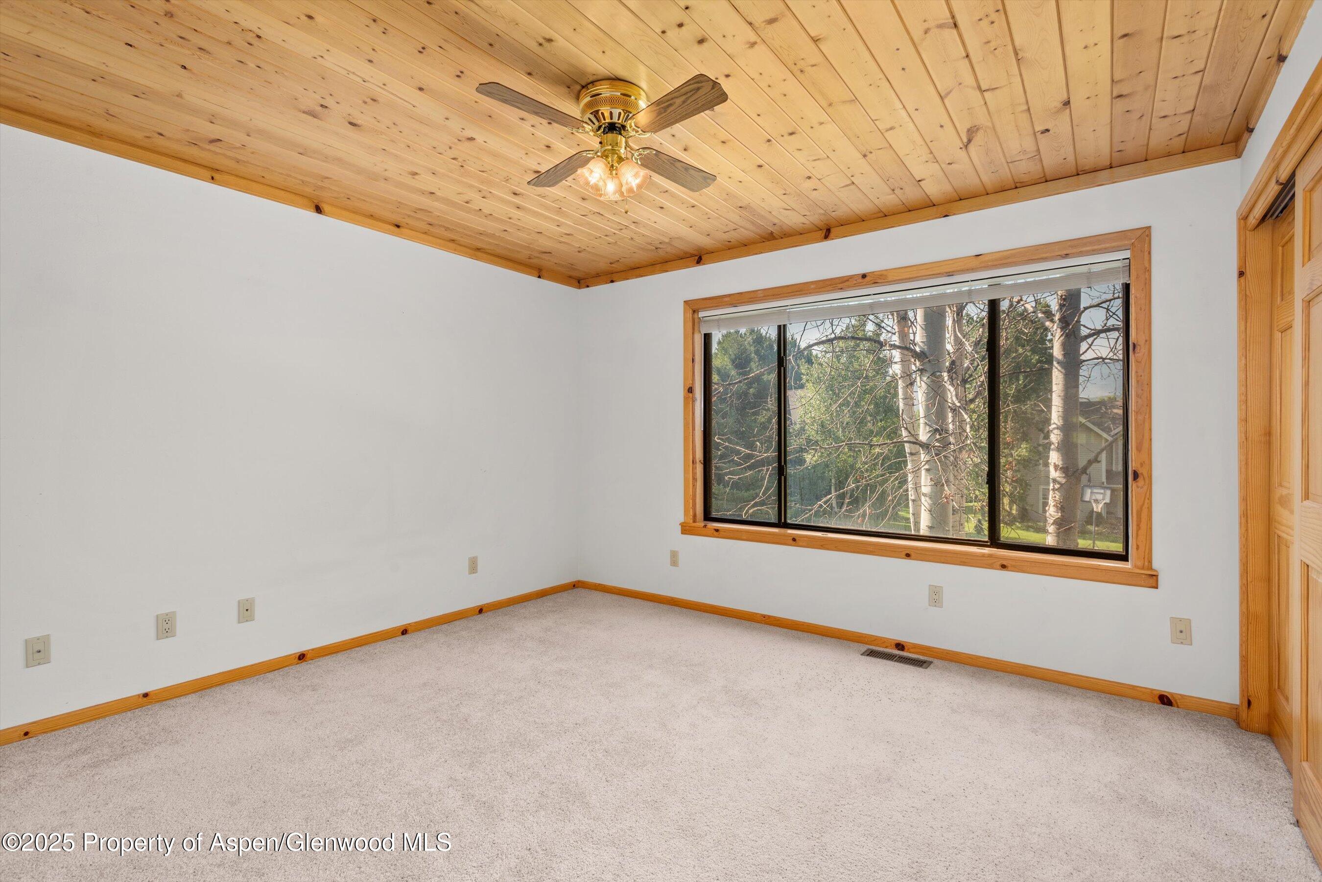 17 Dakota Court Carbondale CO 81623