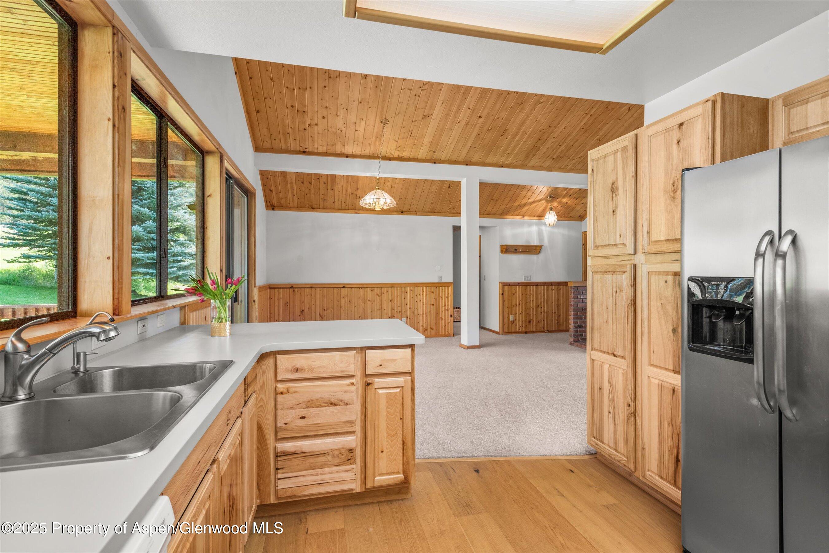 17 Dakota Court Carbondale CO 81623