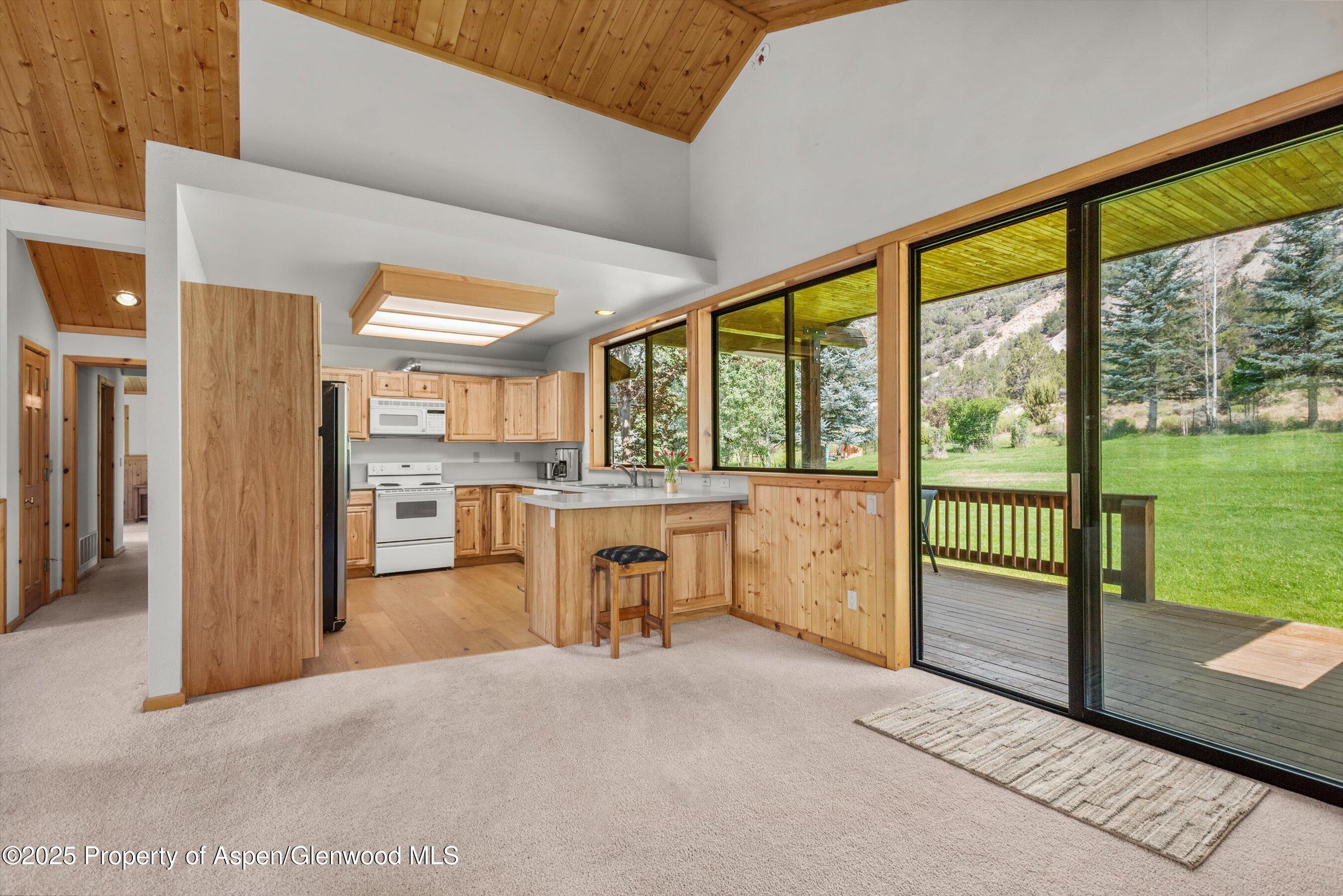 17 Dakota Court Carbondale CO 81623