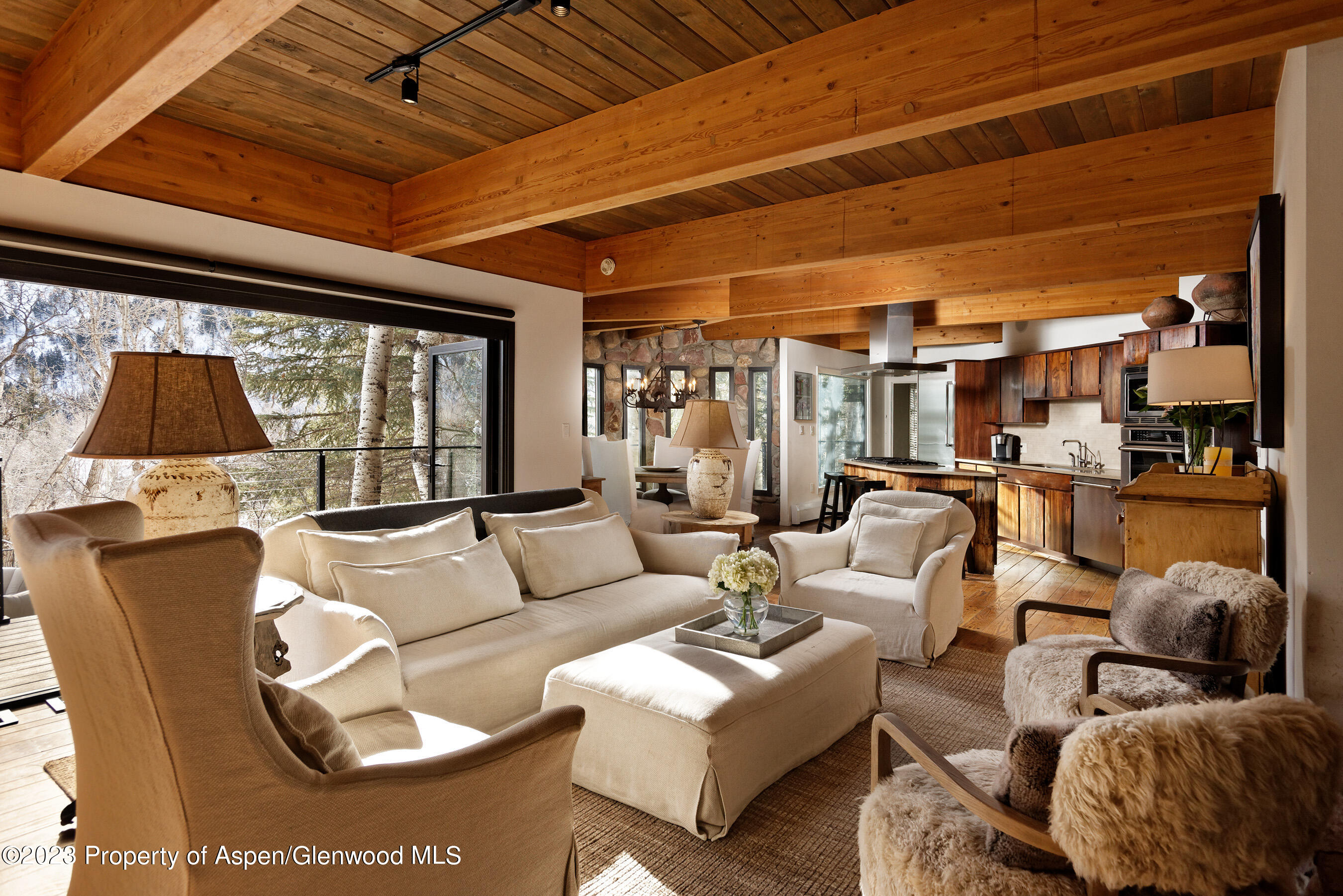 164 Eastwood Road Aspen CO 81611