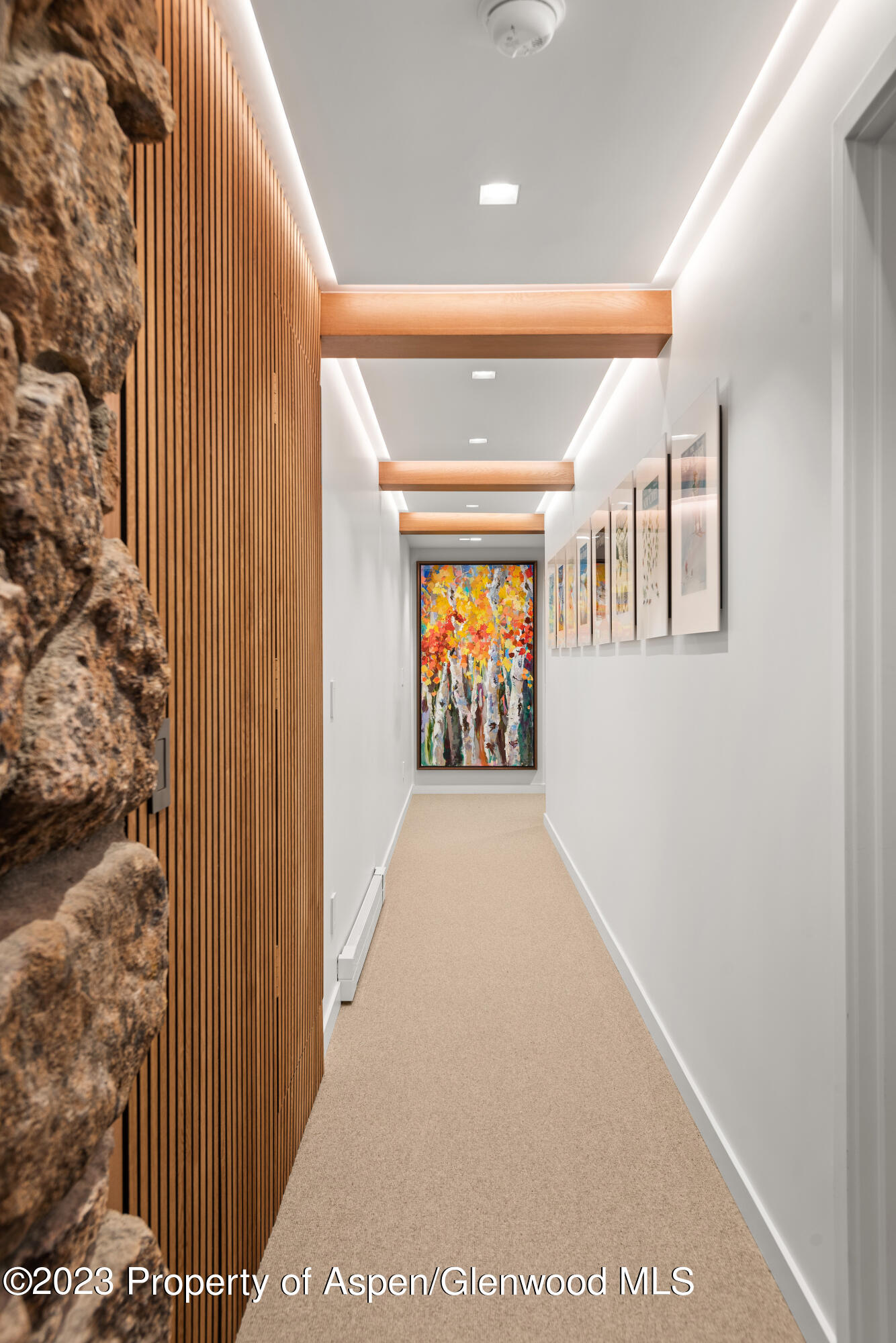 164 Eastwood Road Aspen CO 81611