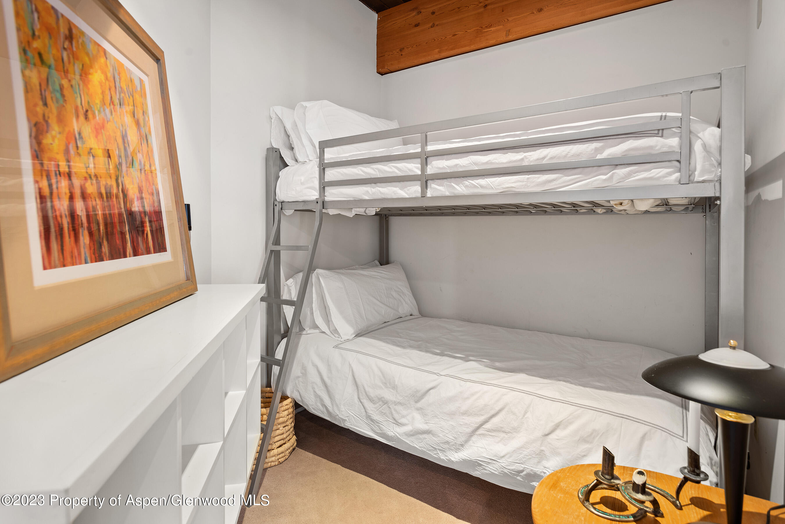 164 Eastwood Road Aspen CO 81611