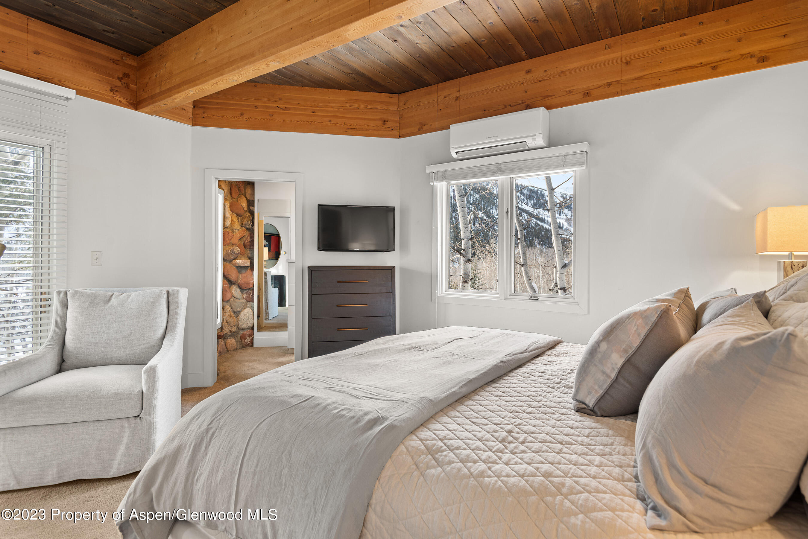 164 Eastwood Road Aspen CO 81611