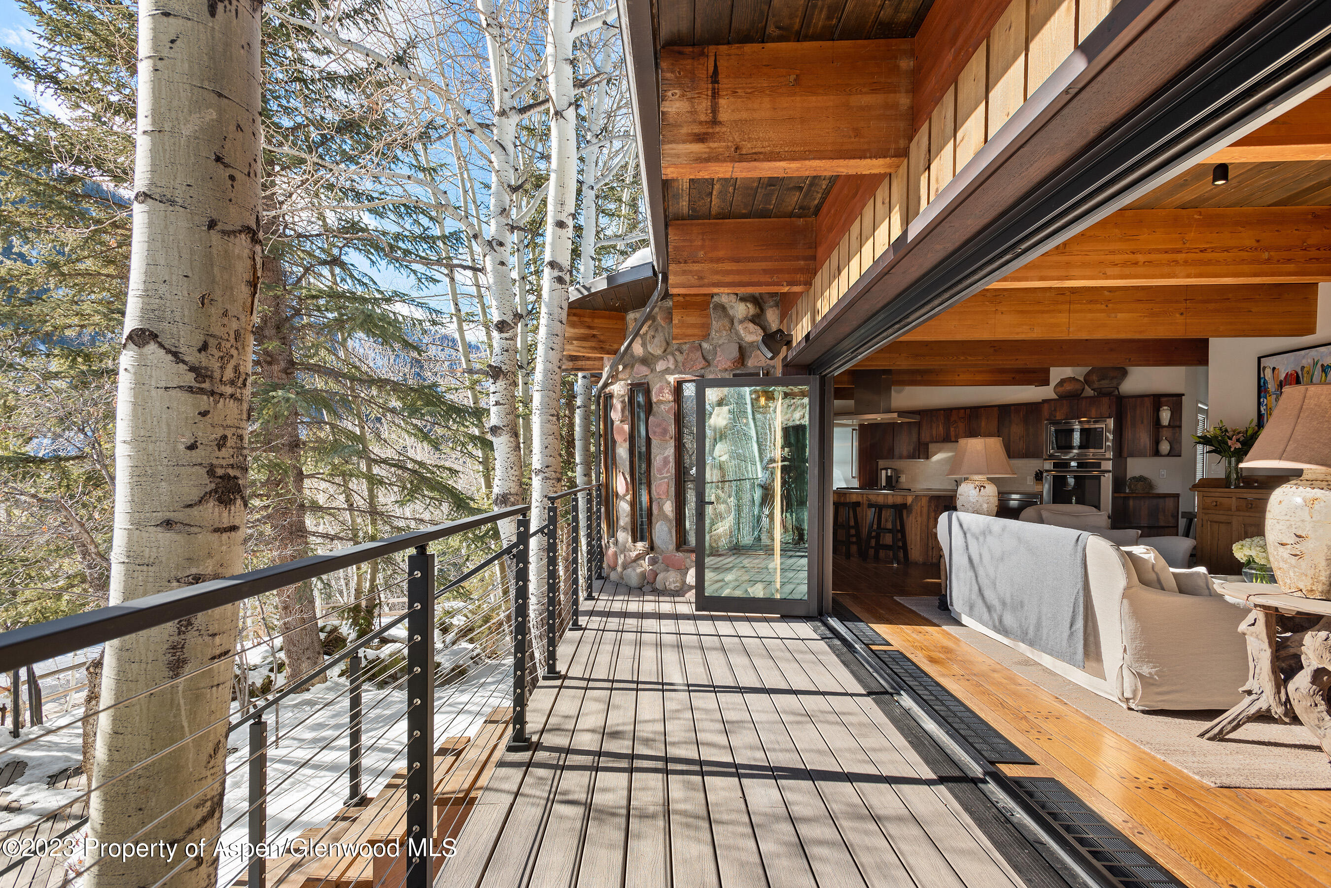 164 Eastwood Road Aspen CO 81611