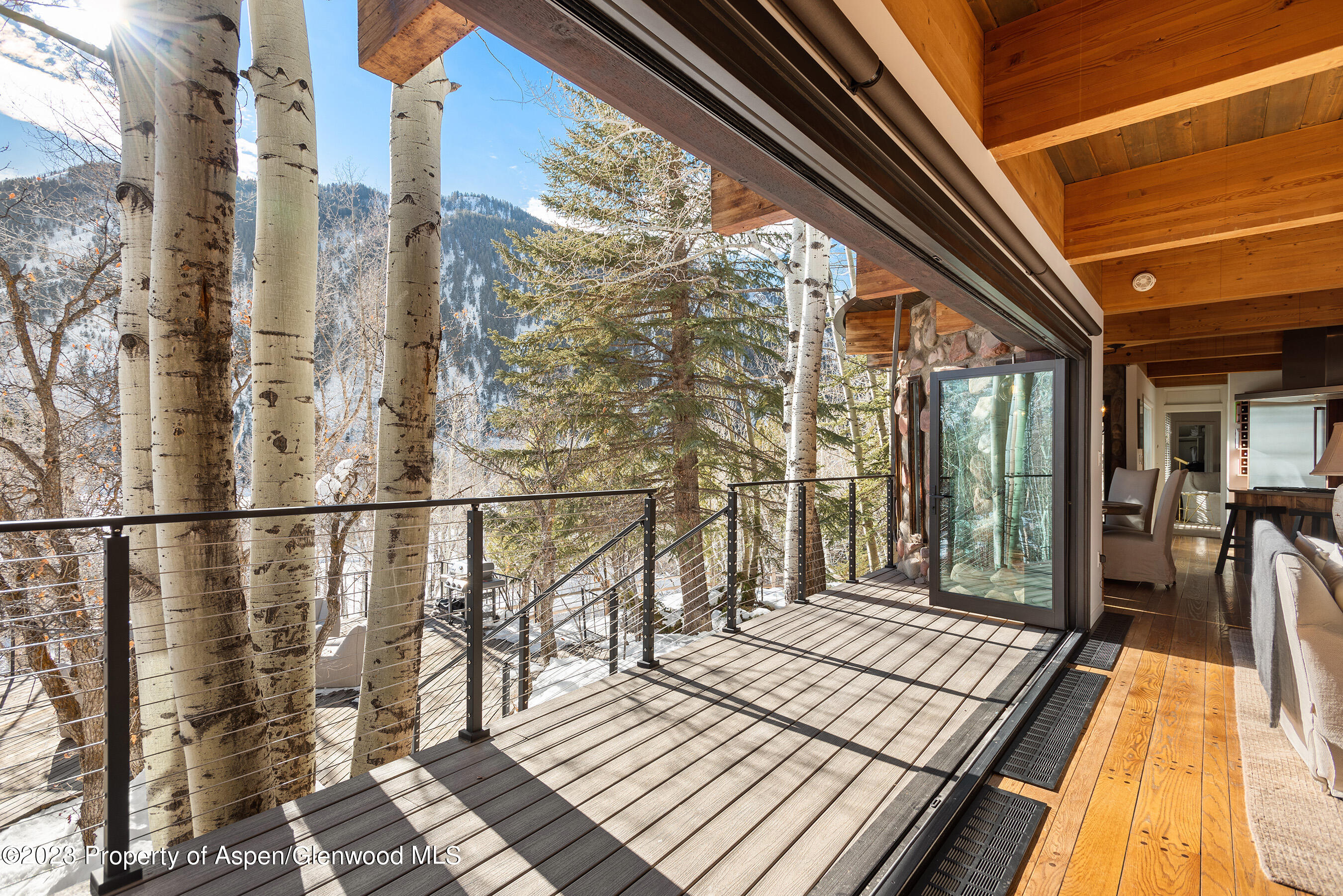 164 Eastwood Road Aspen CO 81611