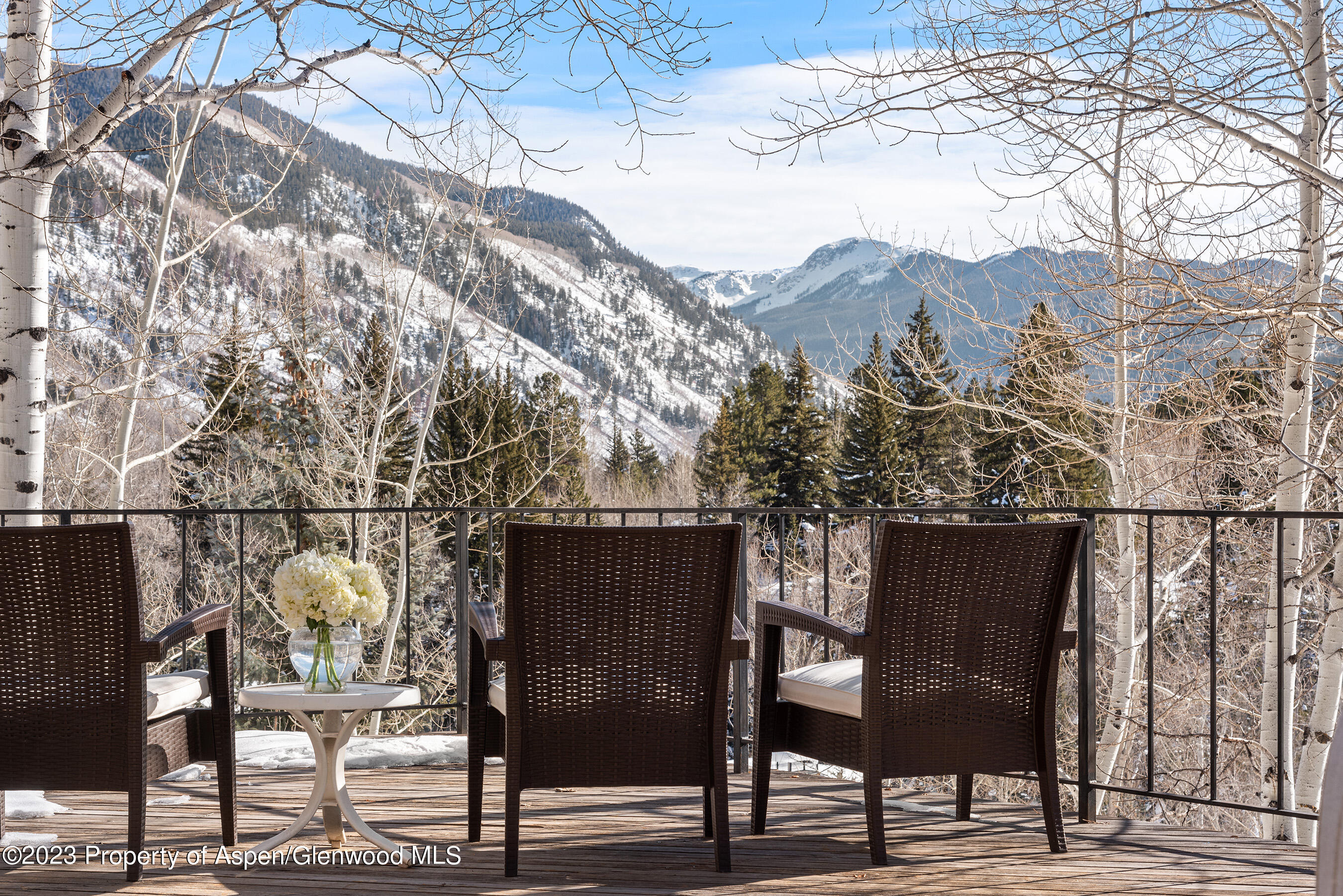 164 Eastwood Road Aspen CO 81611