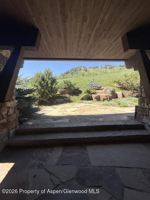 509 Oregon Trail Aspen CO 81611