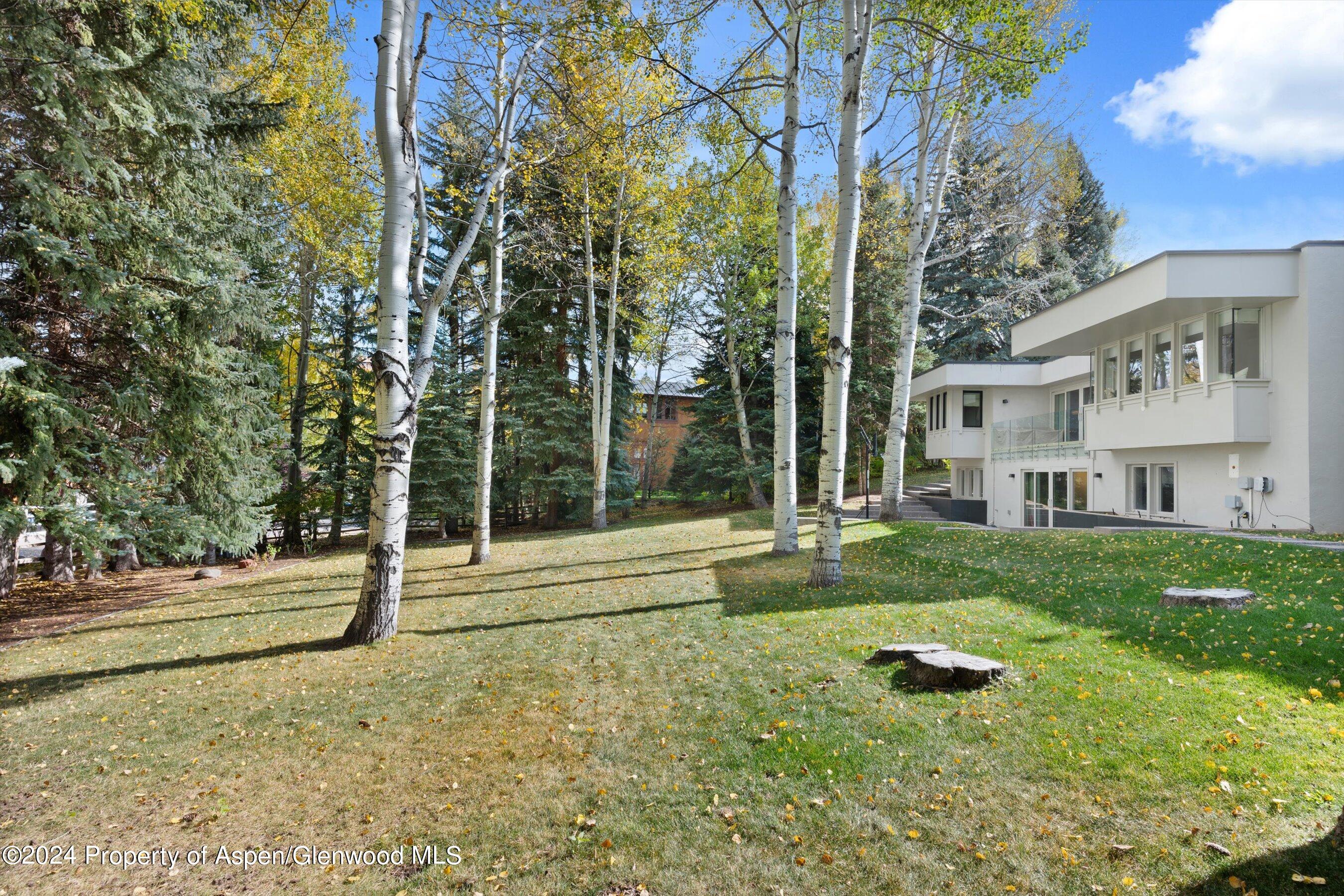 721 Meadowood Drive Aspen CO 81611