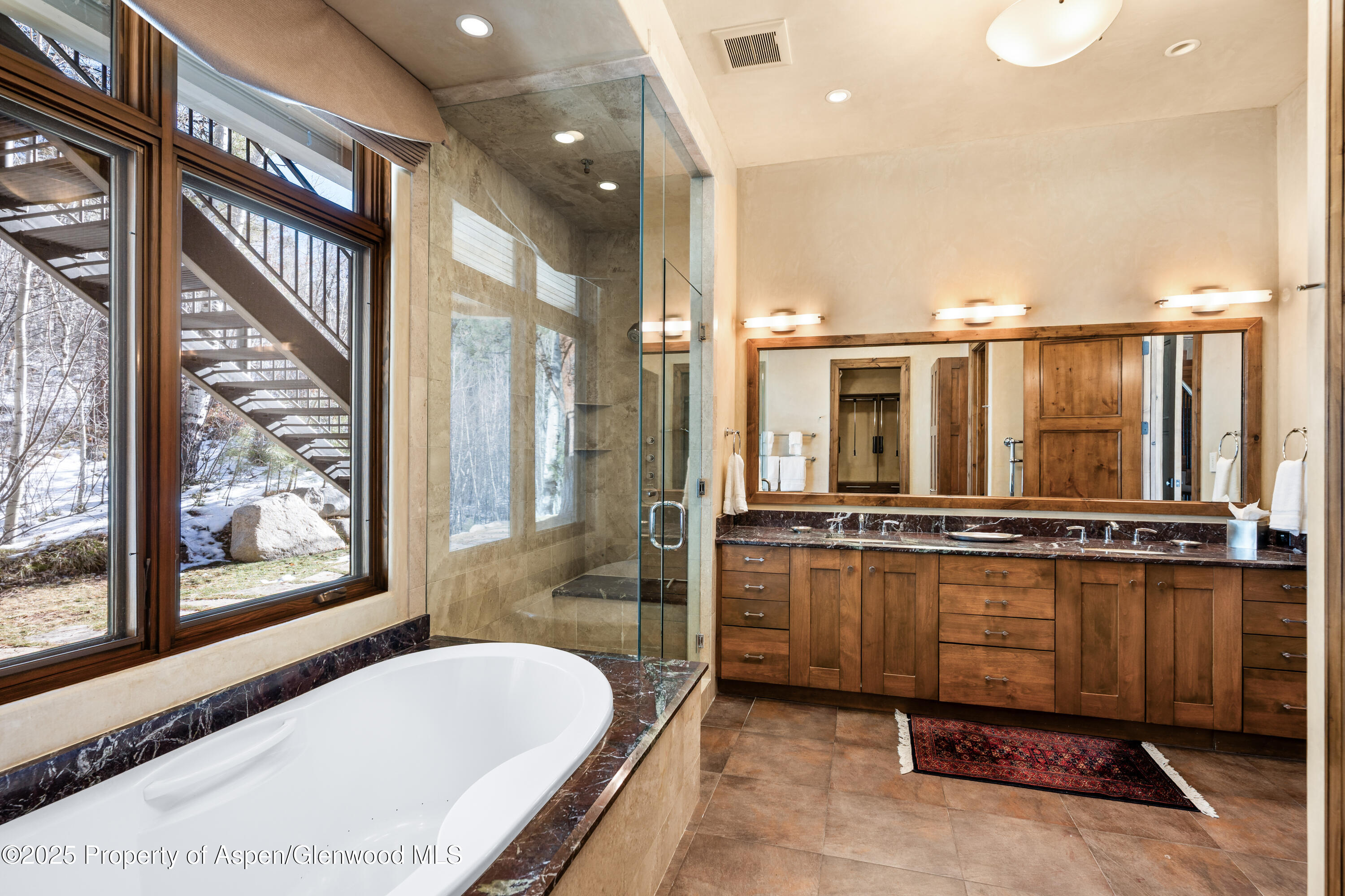 96 Mountain Laurel Court Aspen CO 81611