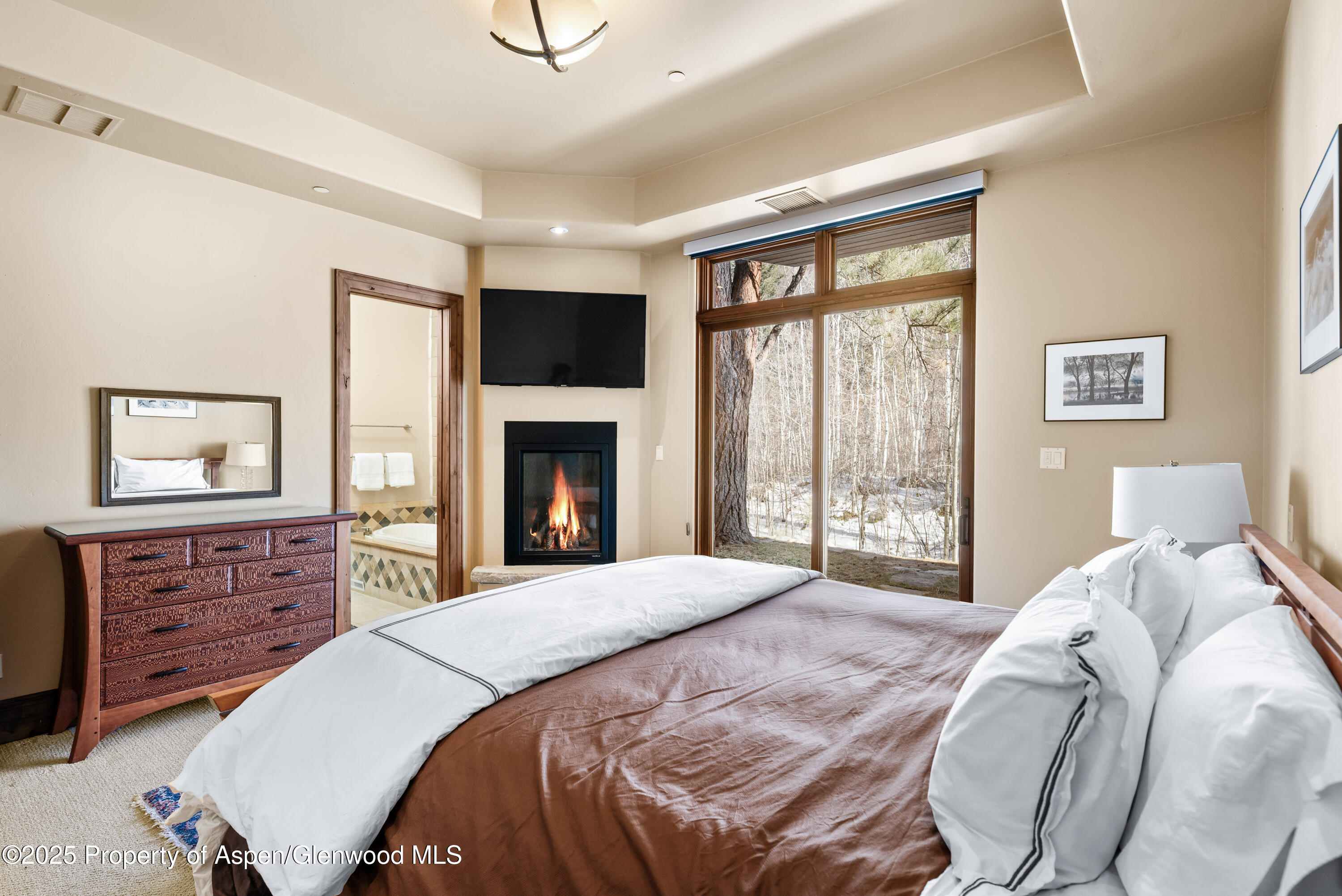 96 Mountain Laurel Court Aspen CO 81611