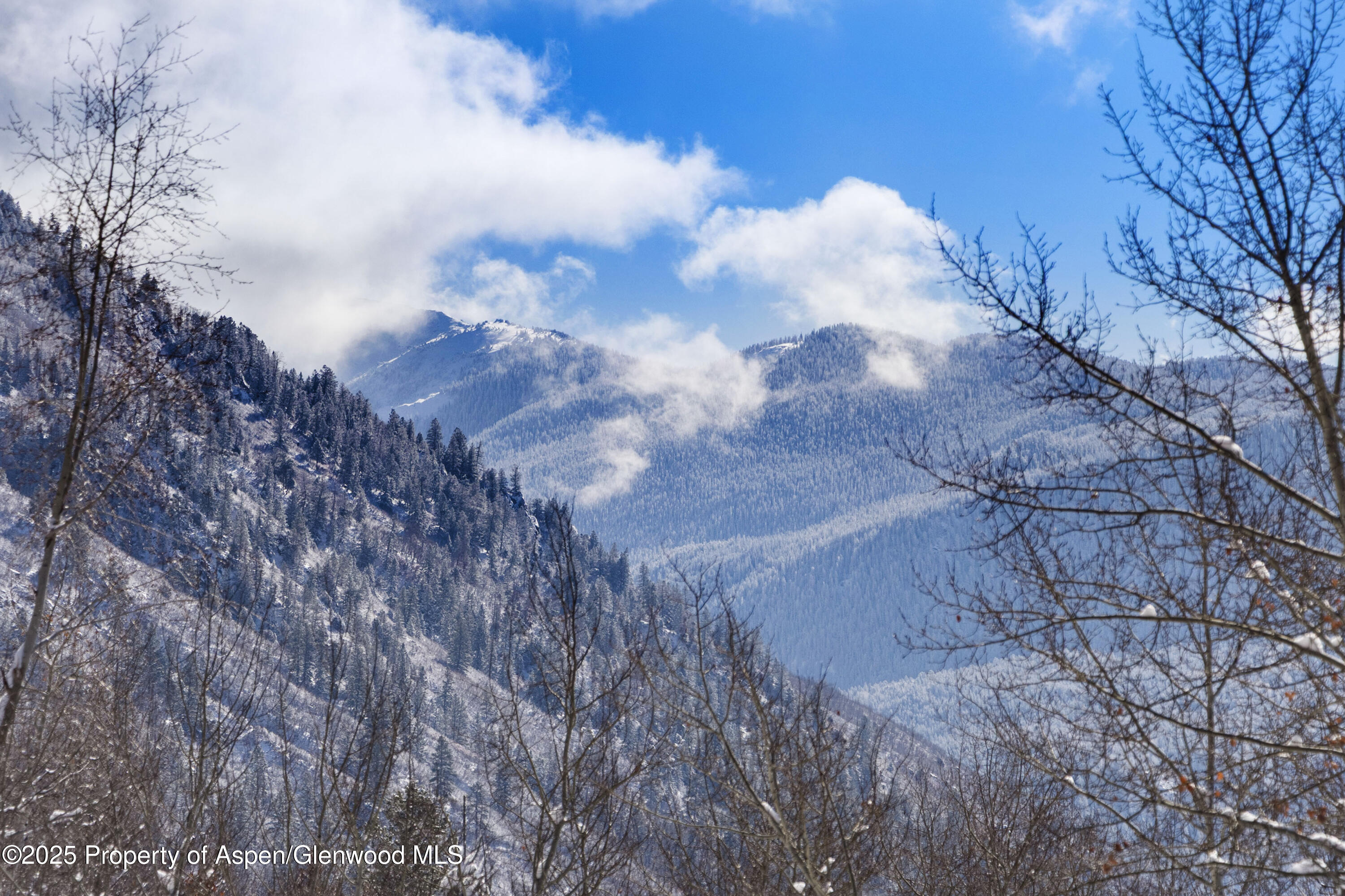 96 Mountain Laurel Court Aspen CO 81611