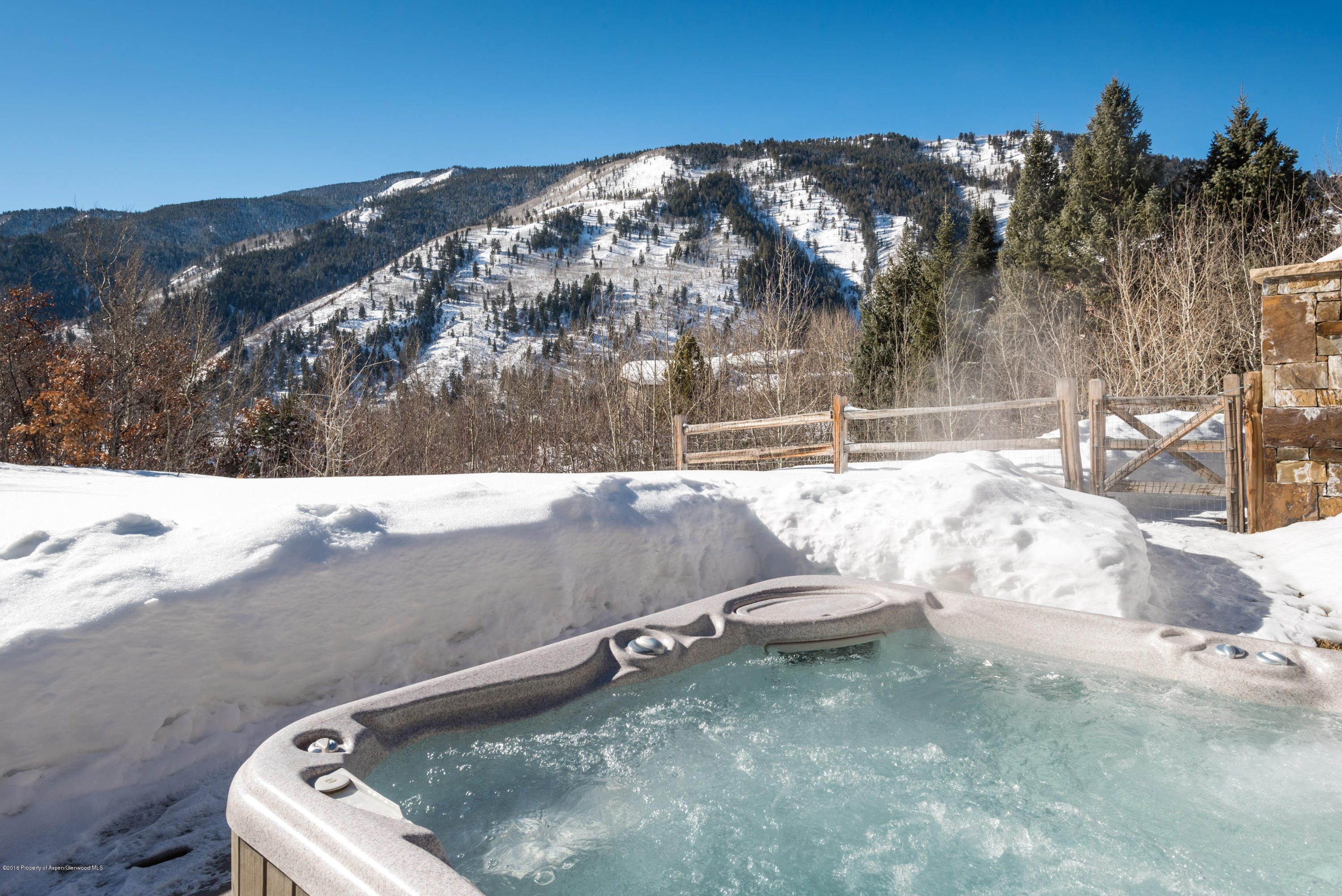 96 Mountain Laurel Court Aspen CO 81611