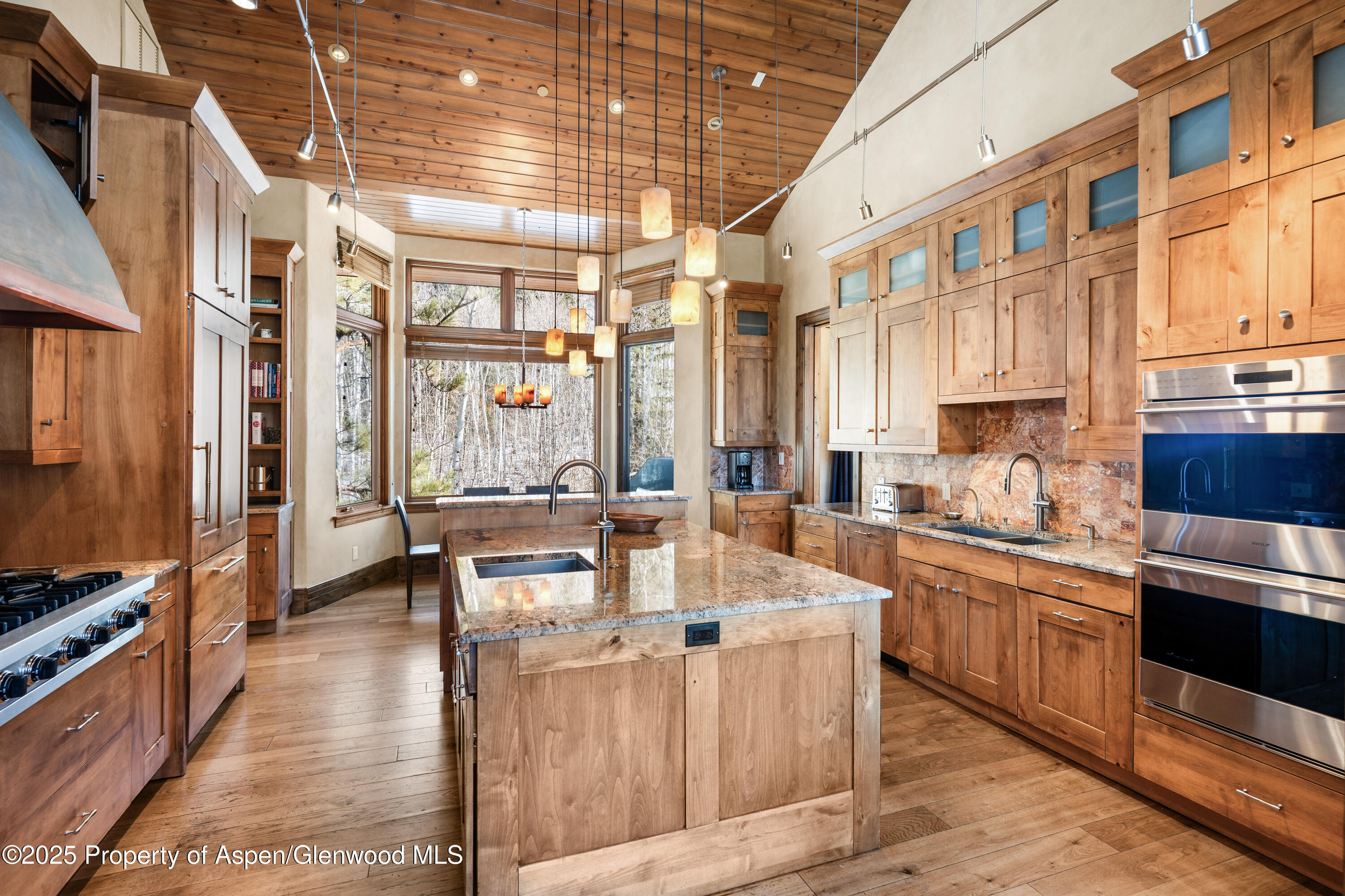 96 Mountain Laurel Court Aspen CO 81611