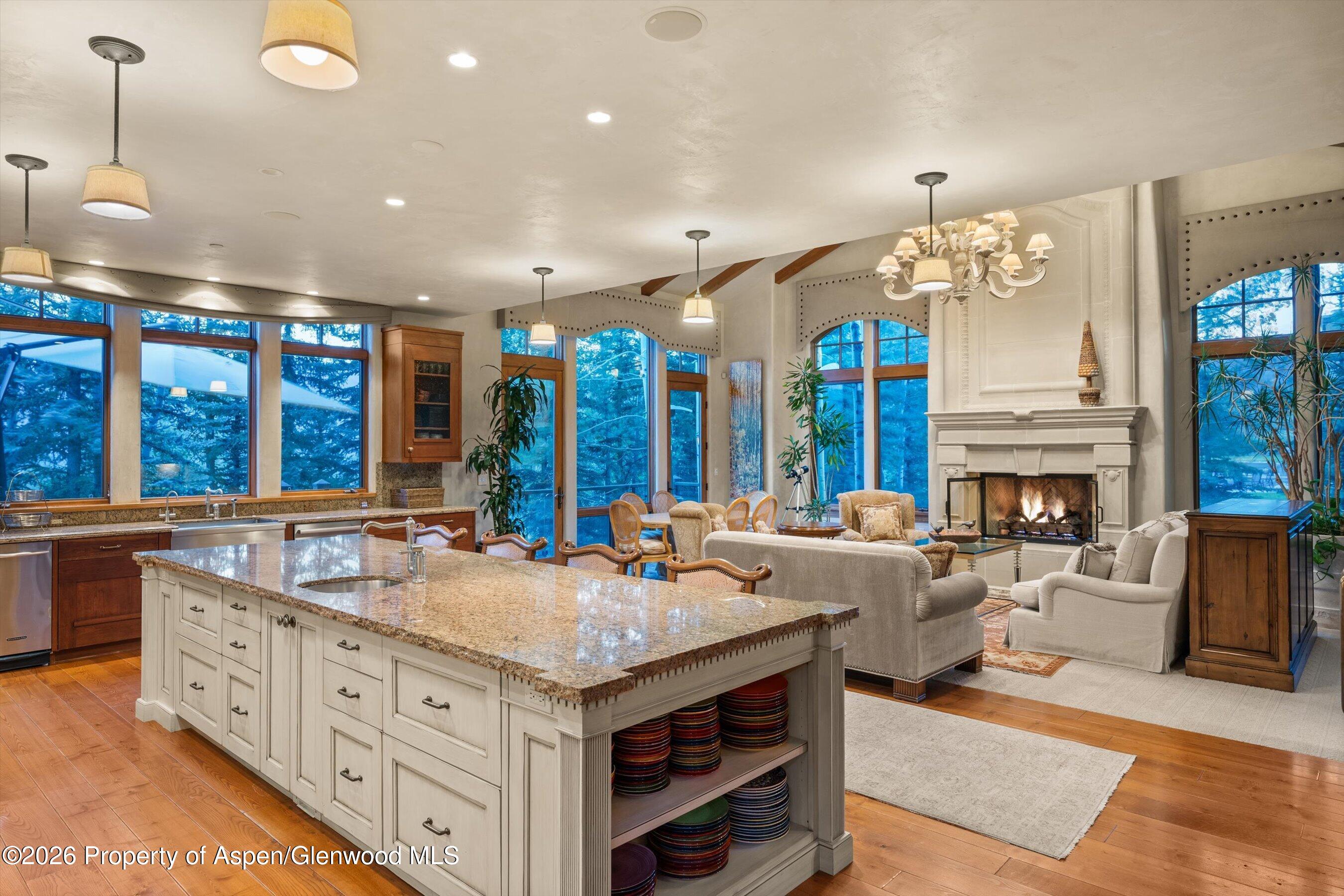 691 Pfister Drive Aspen CO 81611