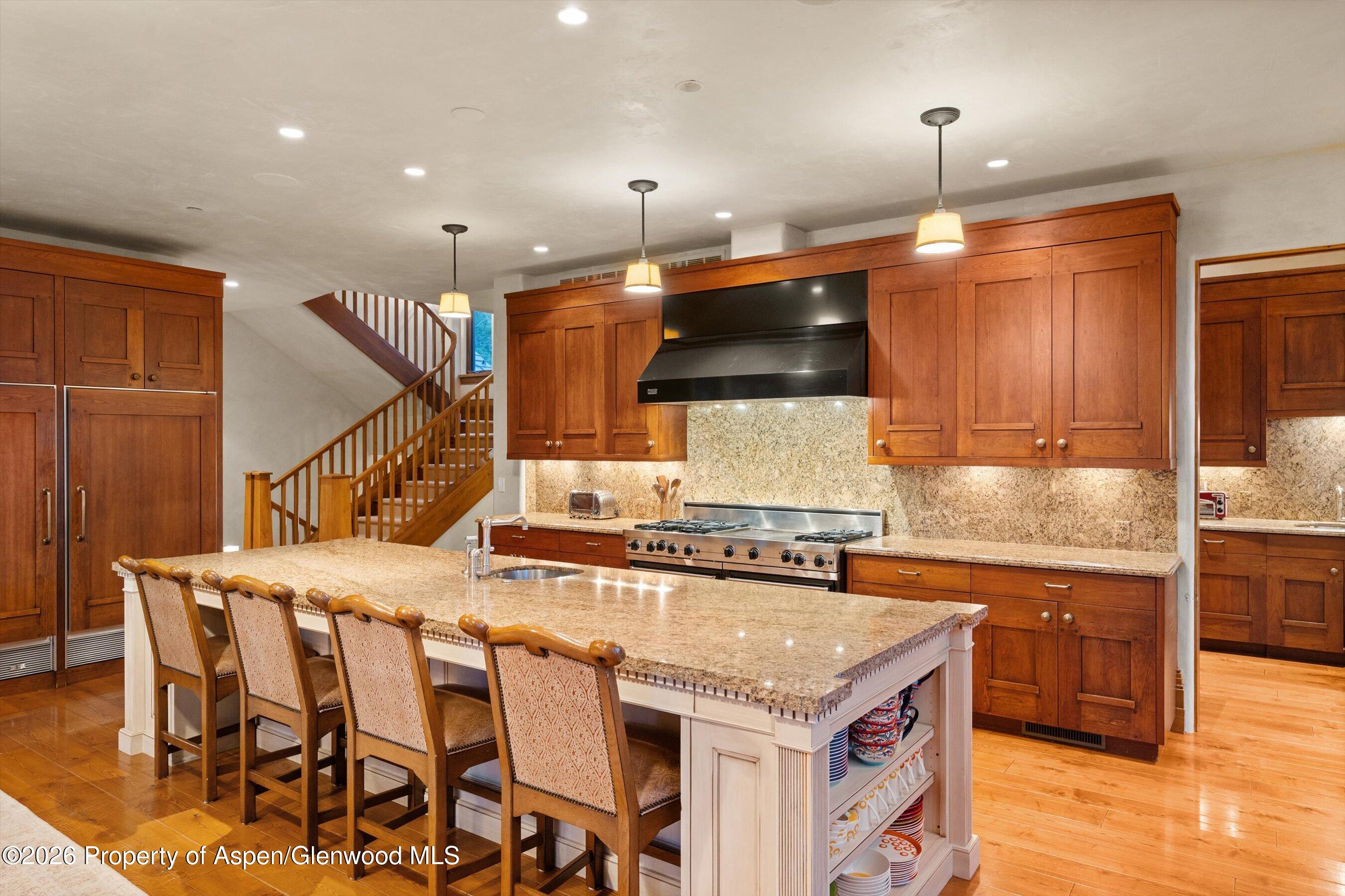 691 Pfister Drive Aspen CO 81611