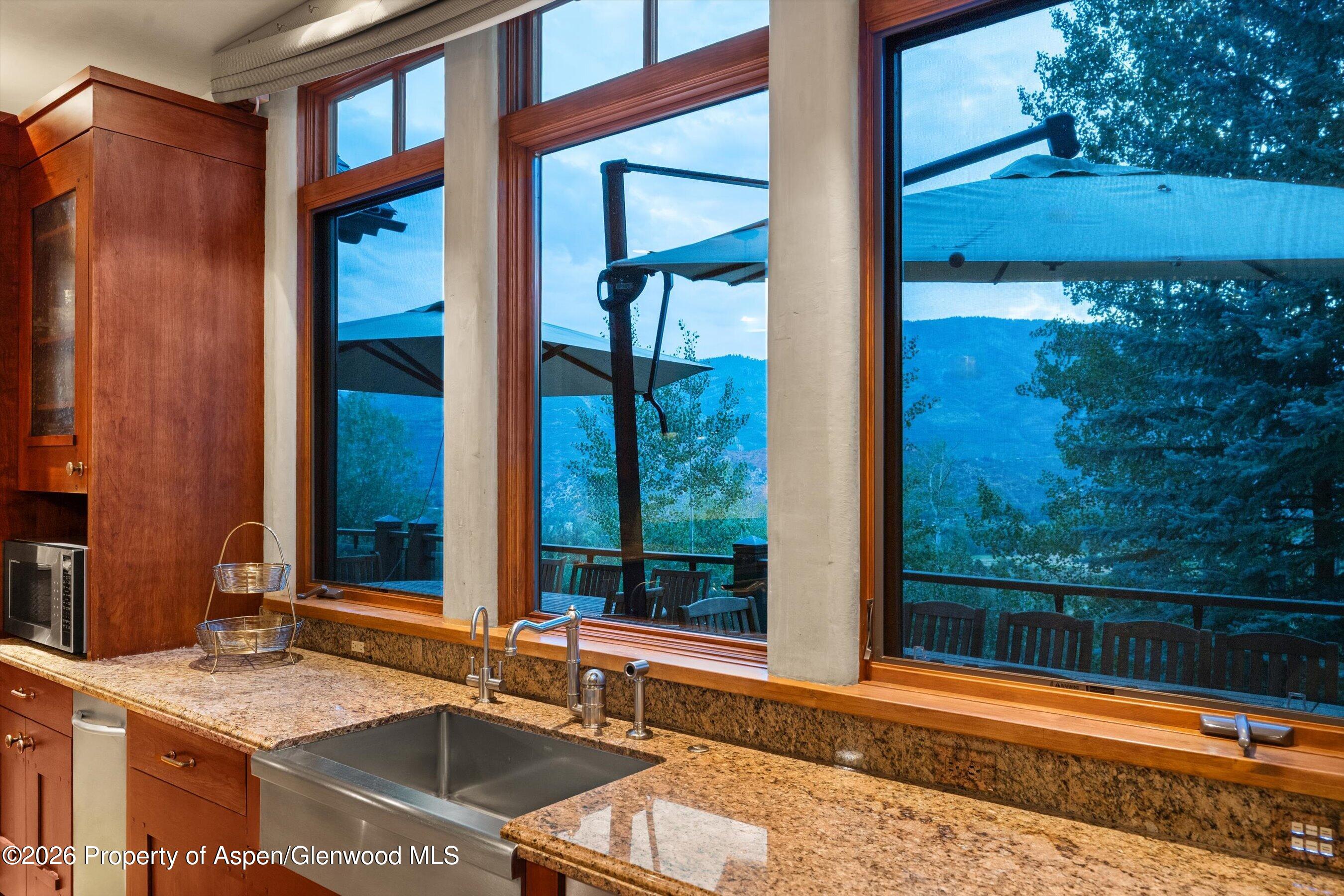 691 Pfister Drive Aspen CO 81611