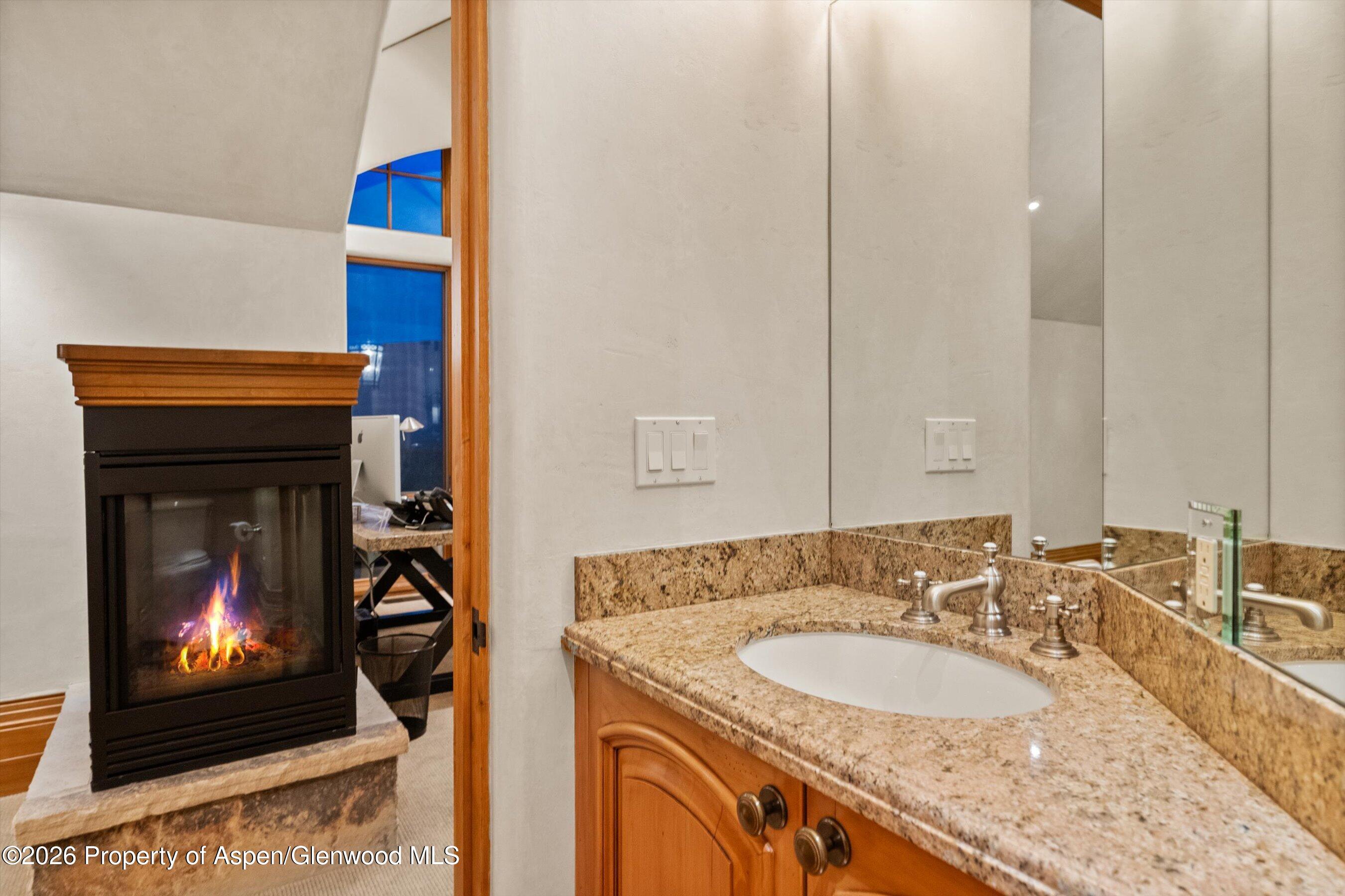 691 Pfister Drive Aspen CO 81611