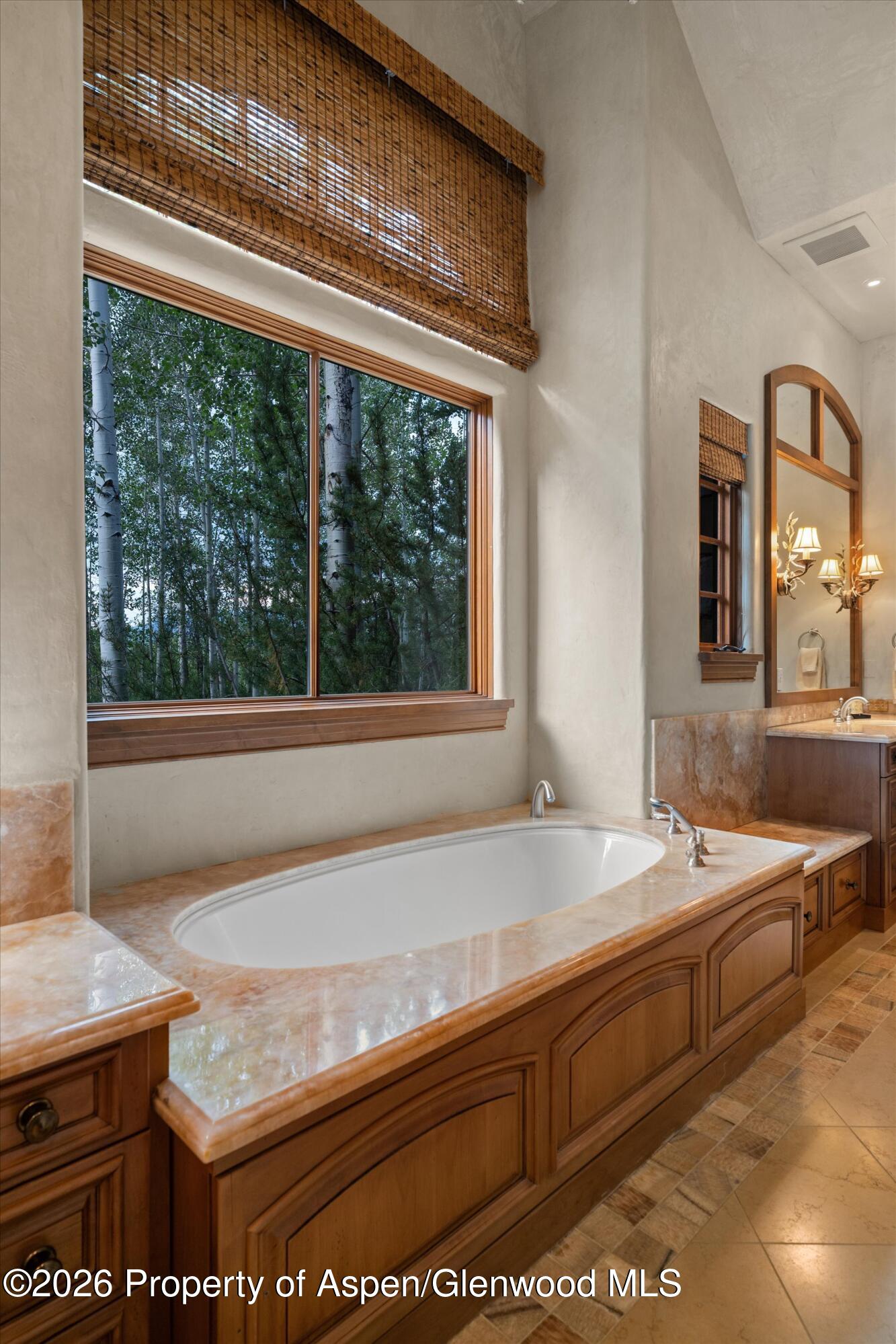 691 Pfister Drive Aspen CO 81611