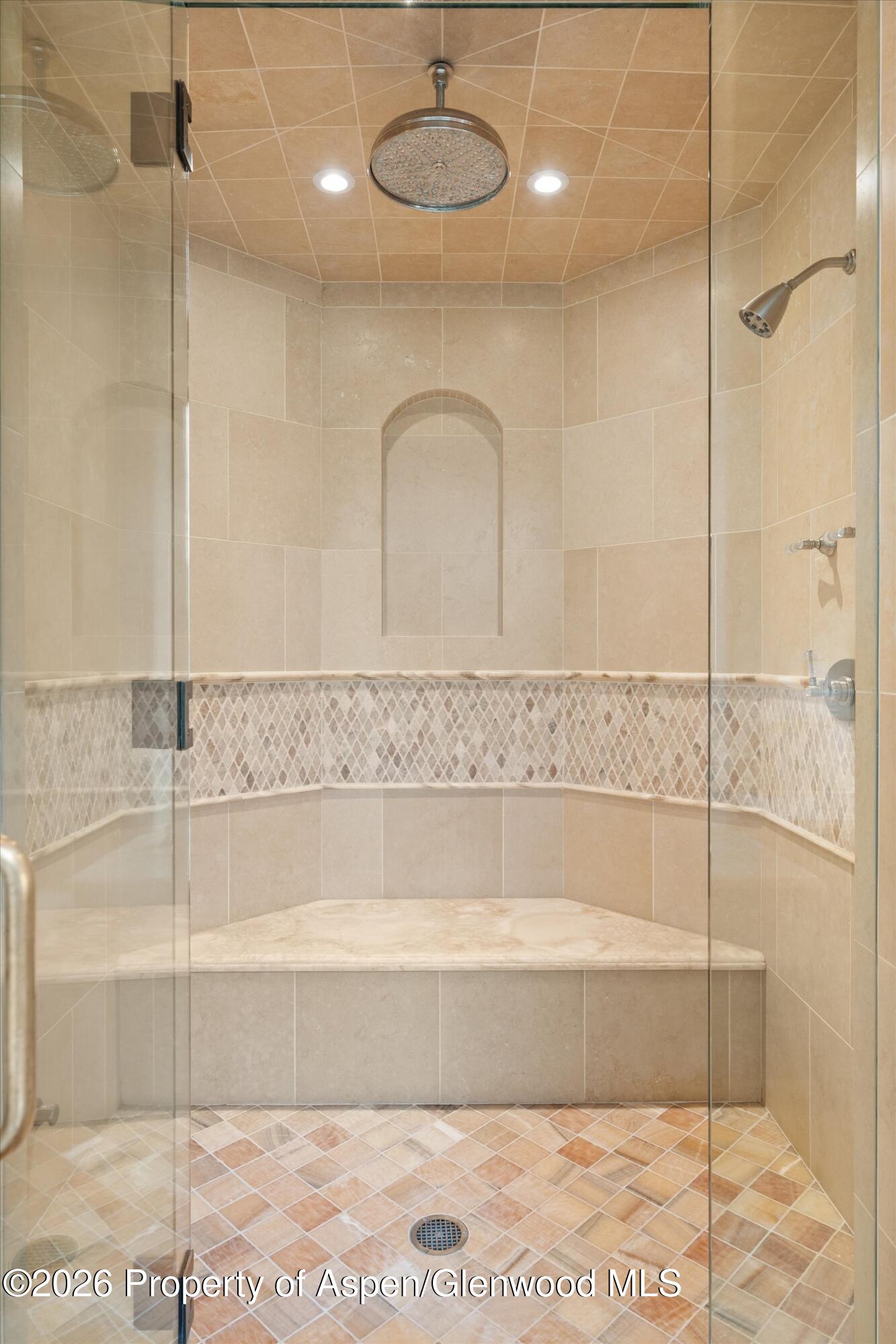 691 Pfister Drive Aspen CO 81611