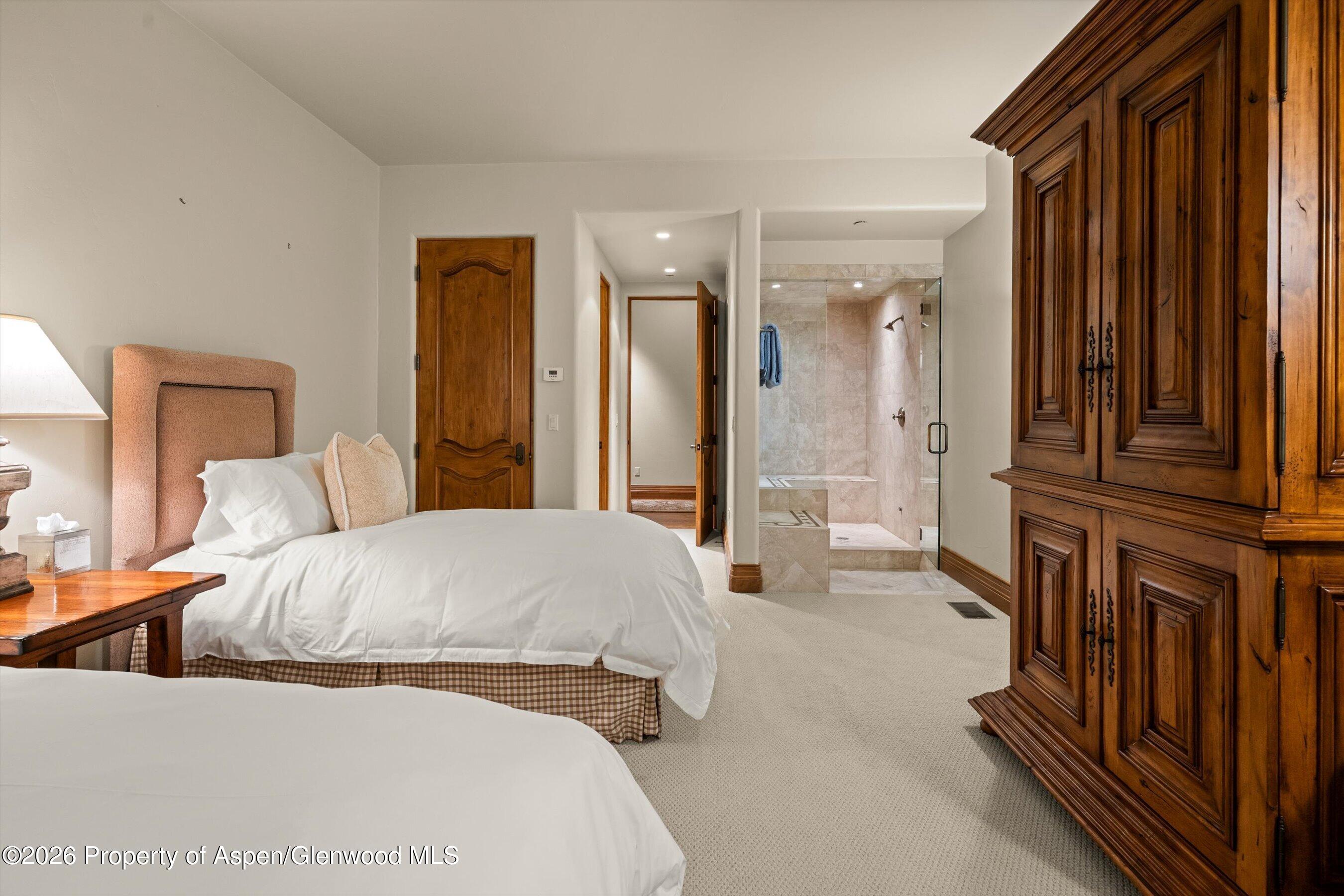 691 Pfister Drive Aspen CO 81611