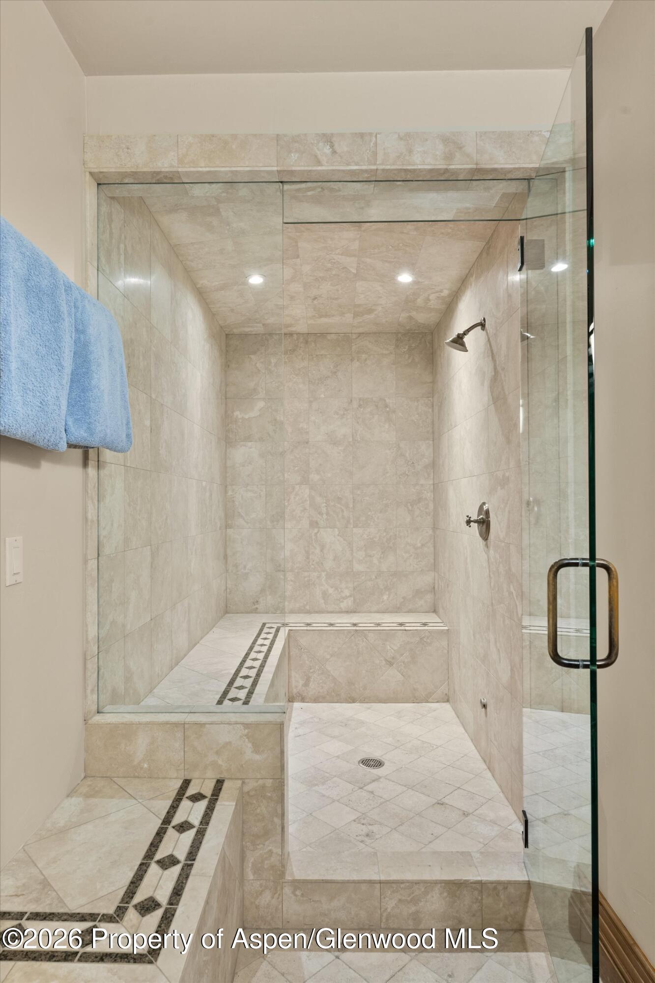 691 Pfister Drive Aspen CO 81611