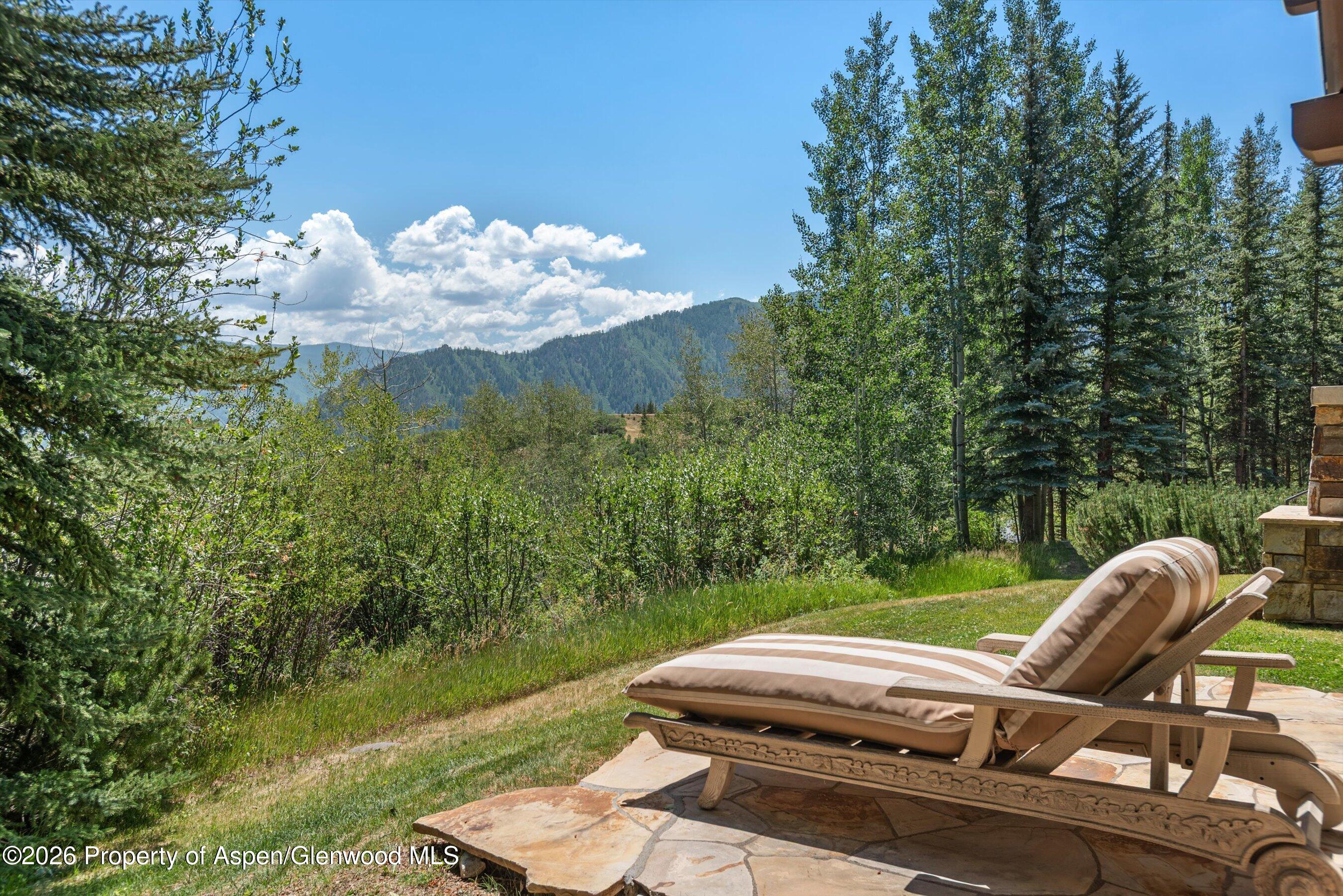 691 Pfister Drive Aspen CO 81611