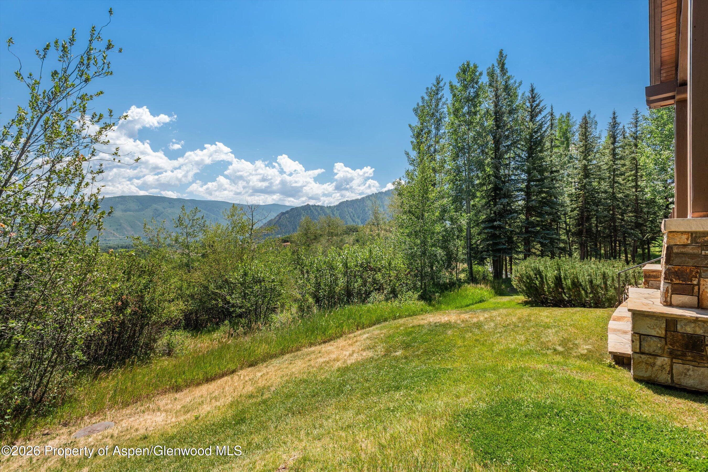 691 Pfister Drive Aspen CO 81611