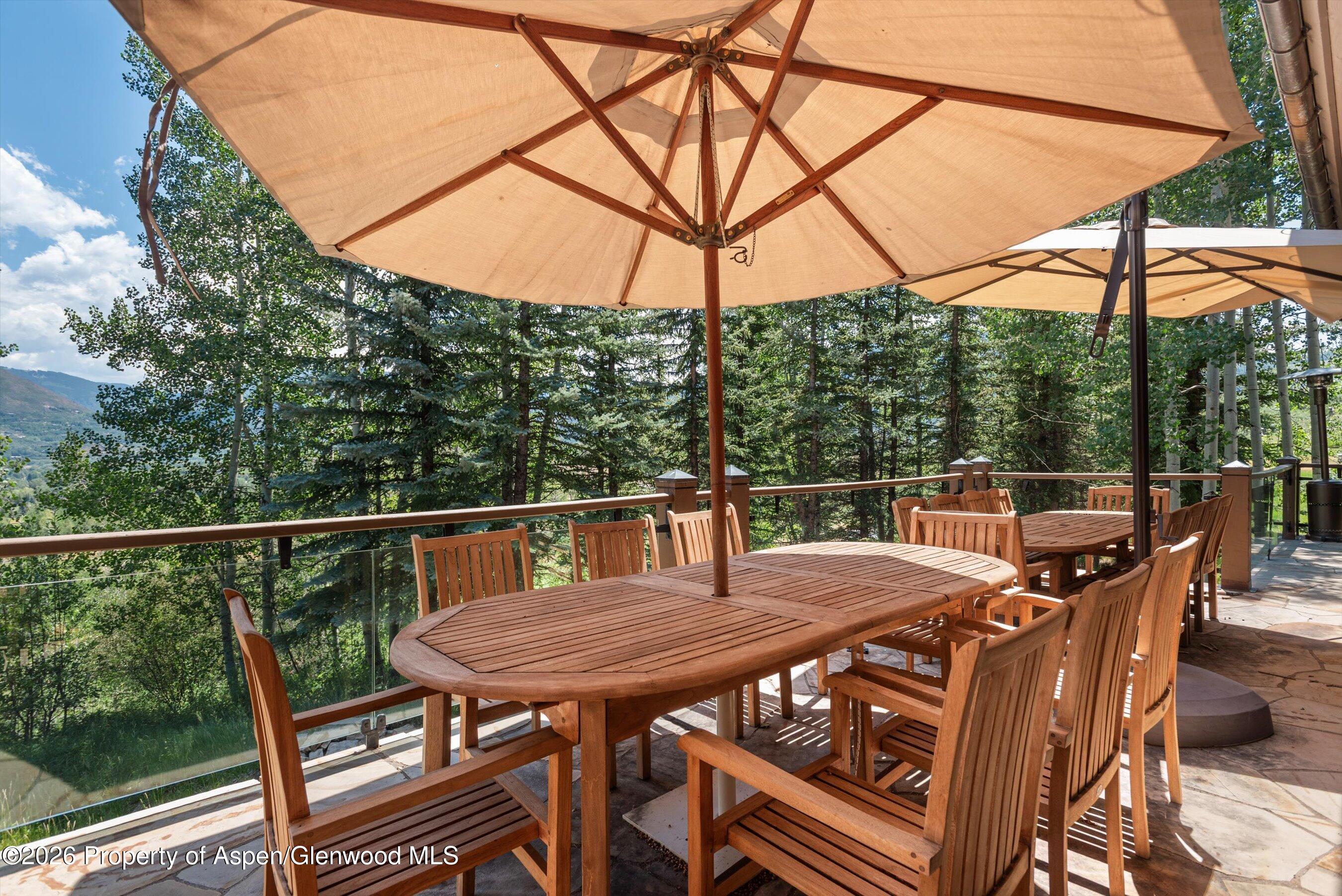 691 Pfister Drive Aspen CO 81611