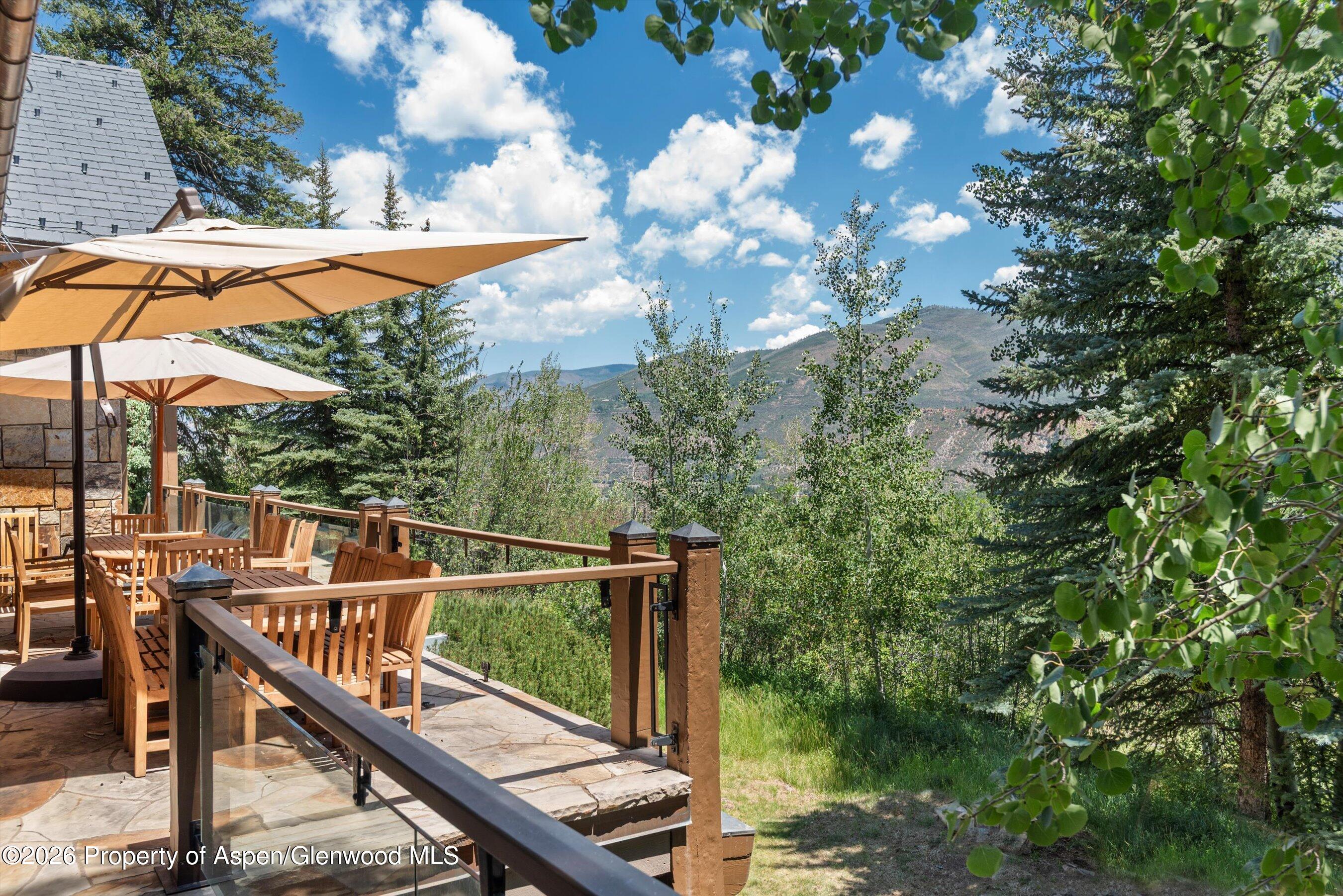 691 Pfister Drive Aspen CO 81611