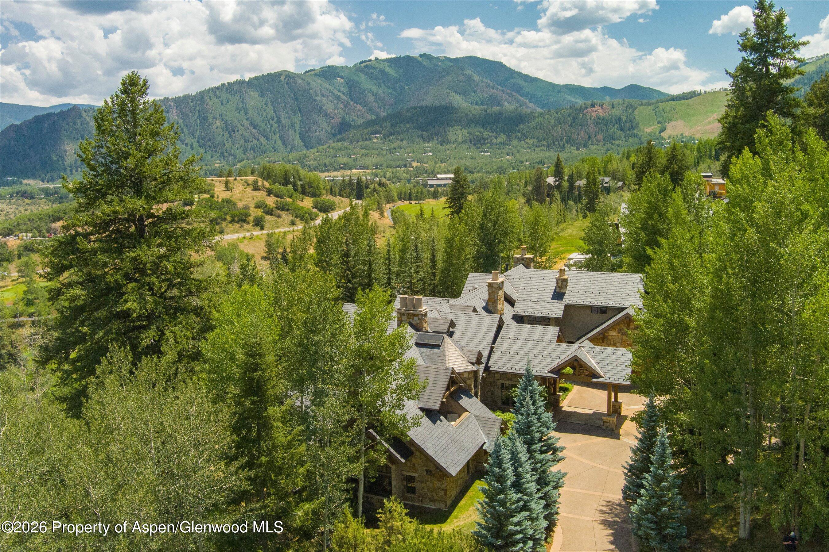 691 Pfister Drive Aspen CO 81611