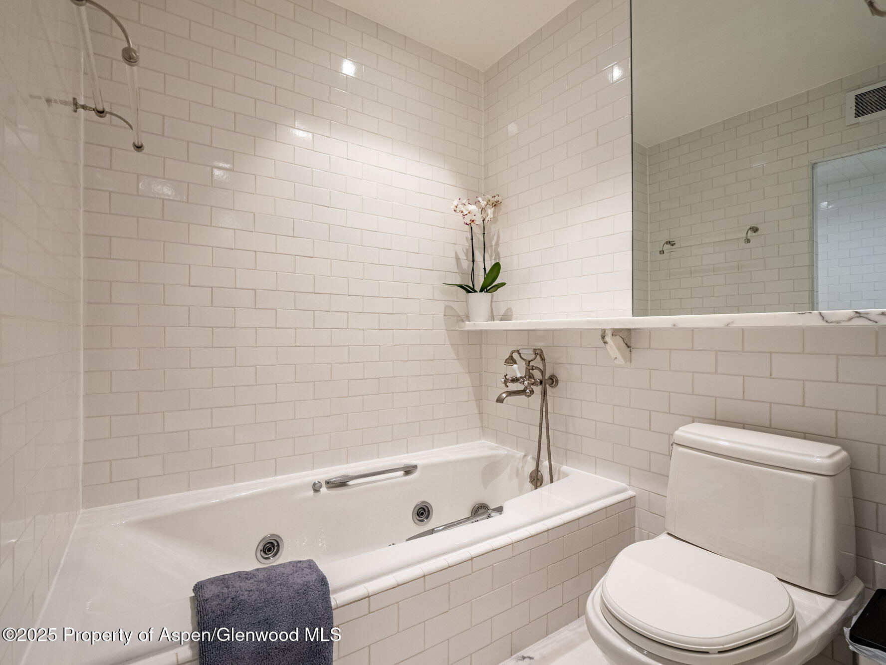 1440 Crystal Lake Road Aspen CO 81611