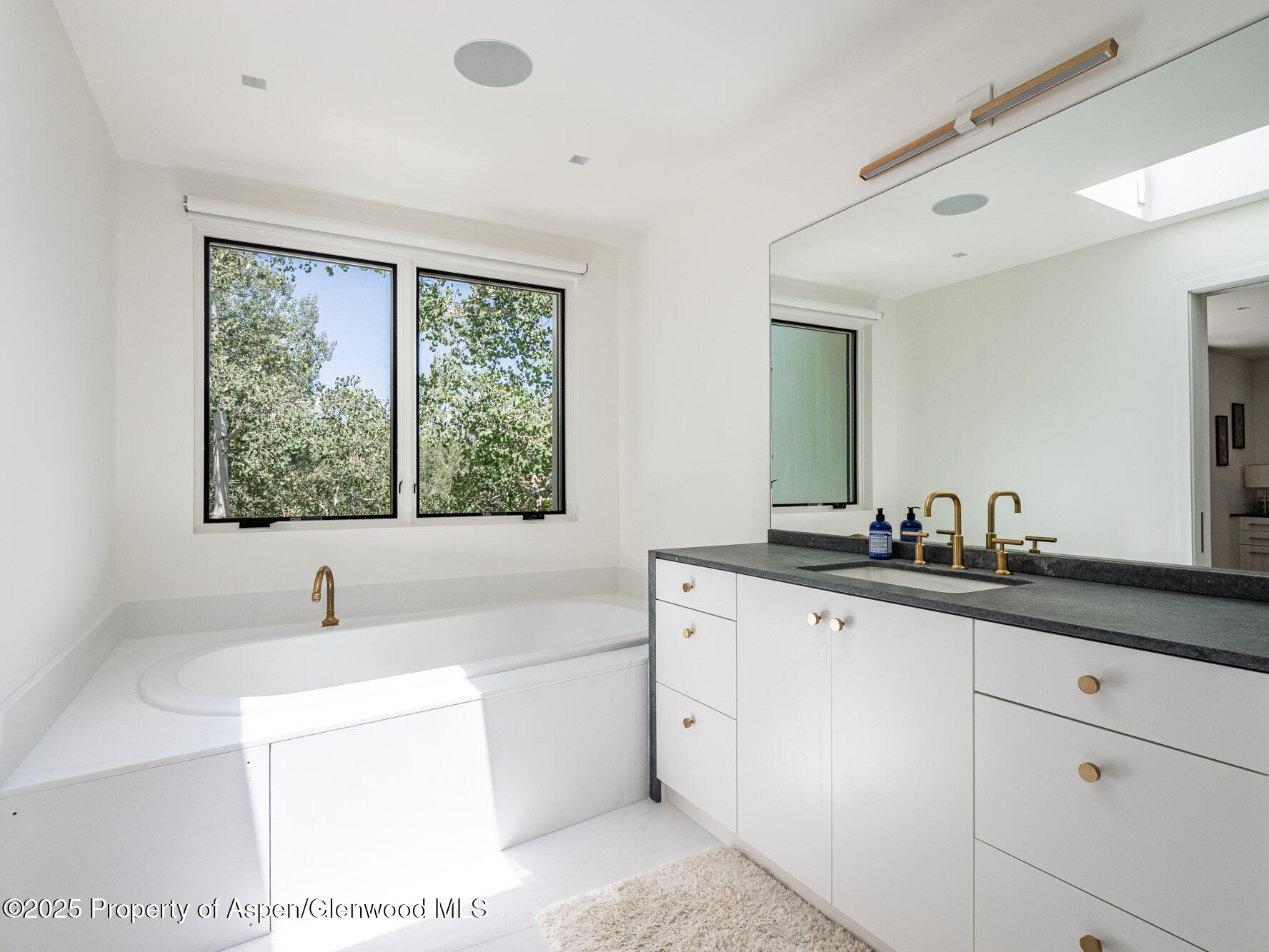 1440 Crystal Lake Road Aspen CO 81611