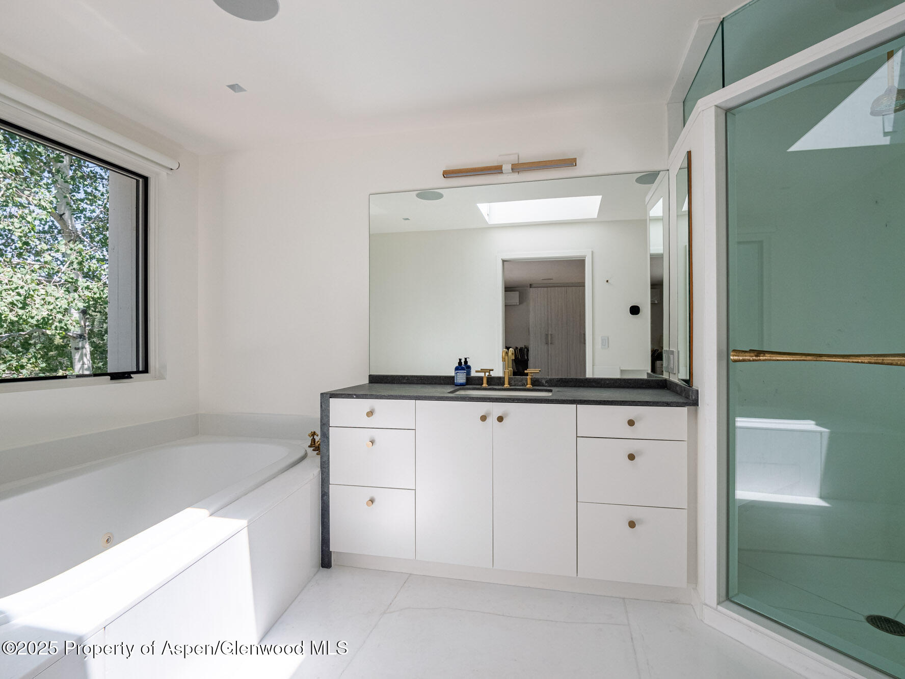 1440 Crystal Lake Road Aspen CO 81611