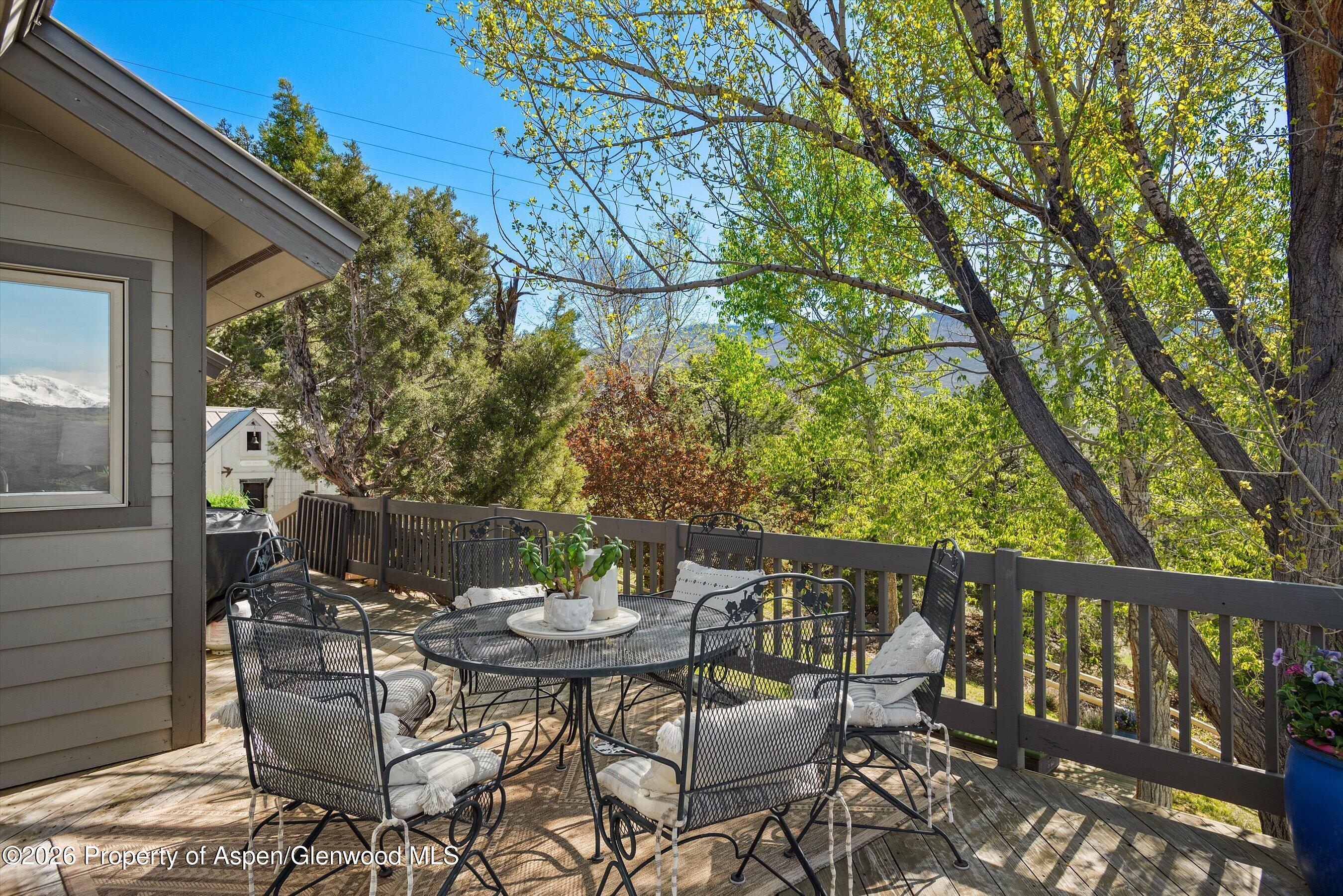258 Caballo Street Carbondale CO 81623