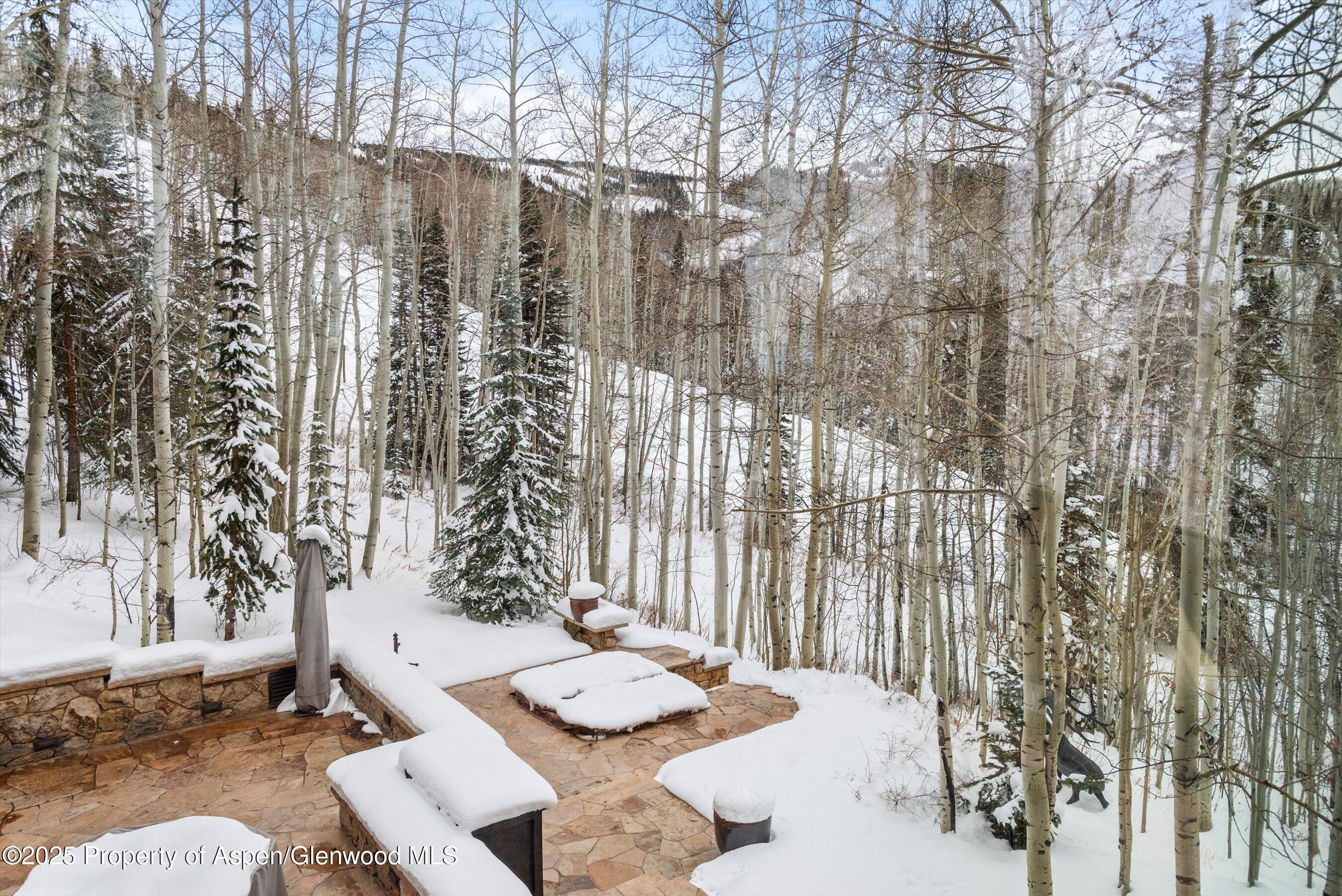 1777 Wood Road Snowmass Village CO 81615