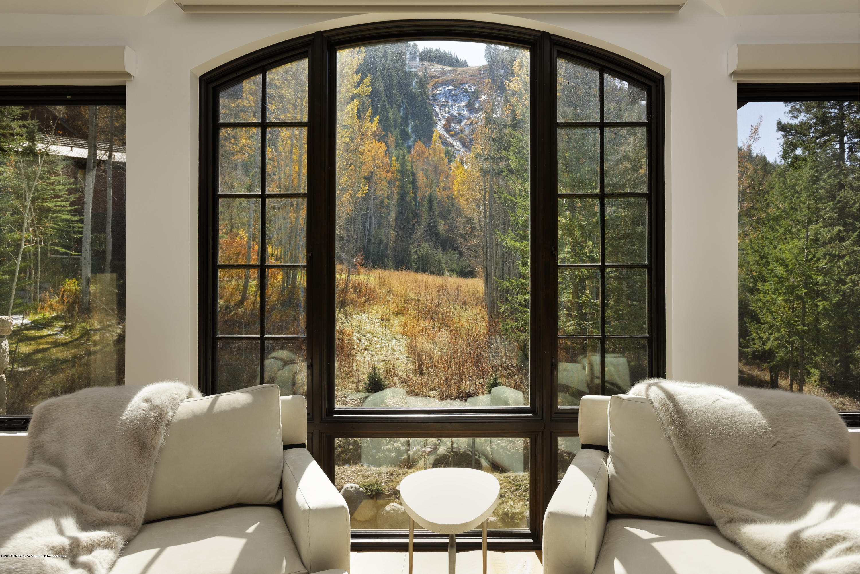 235 Exhibition Lane Aspen CO 81611