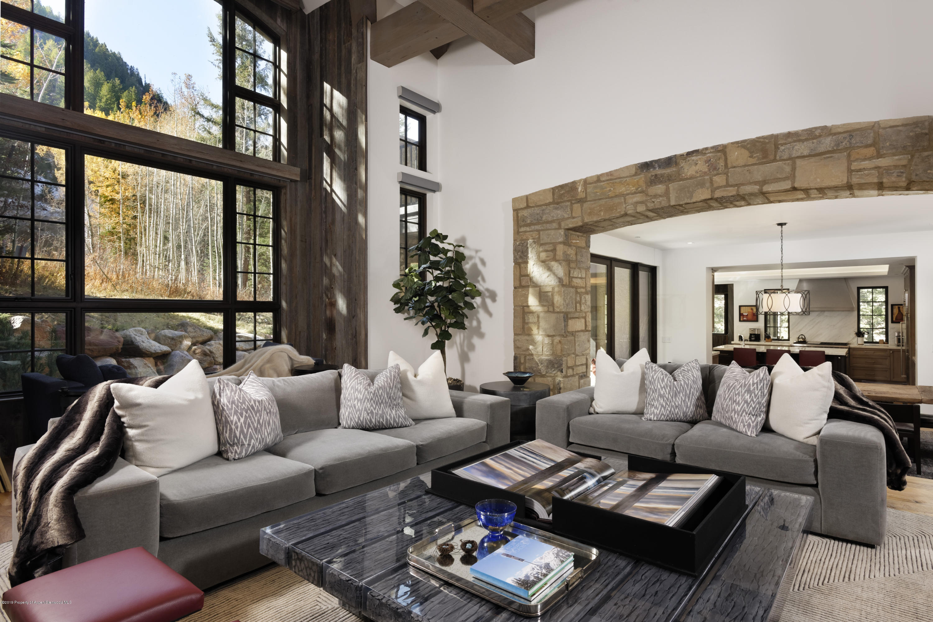 235 Exhibition Lane Aspen CO 81611