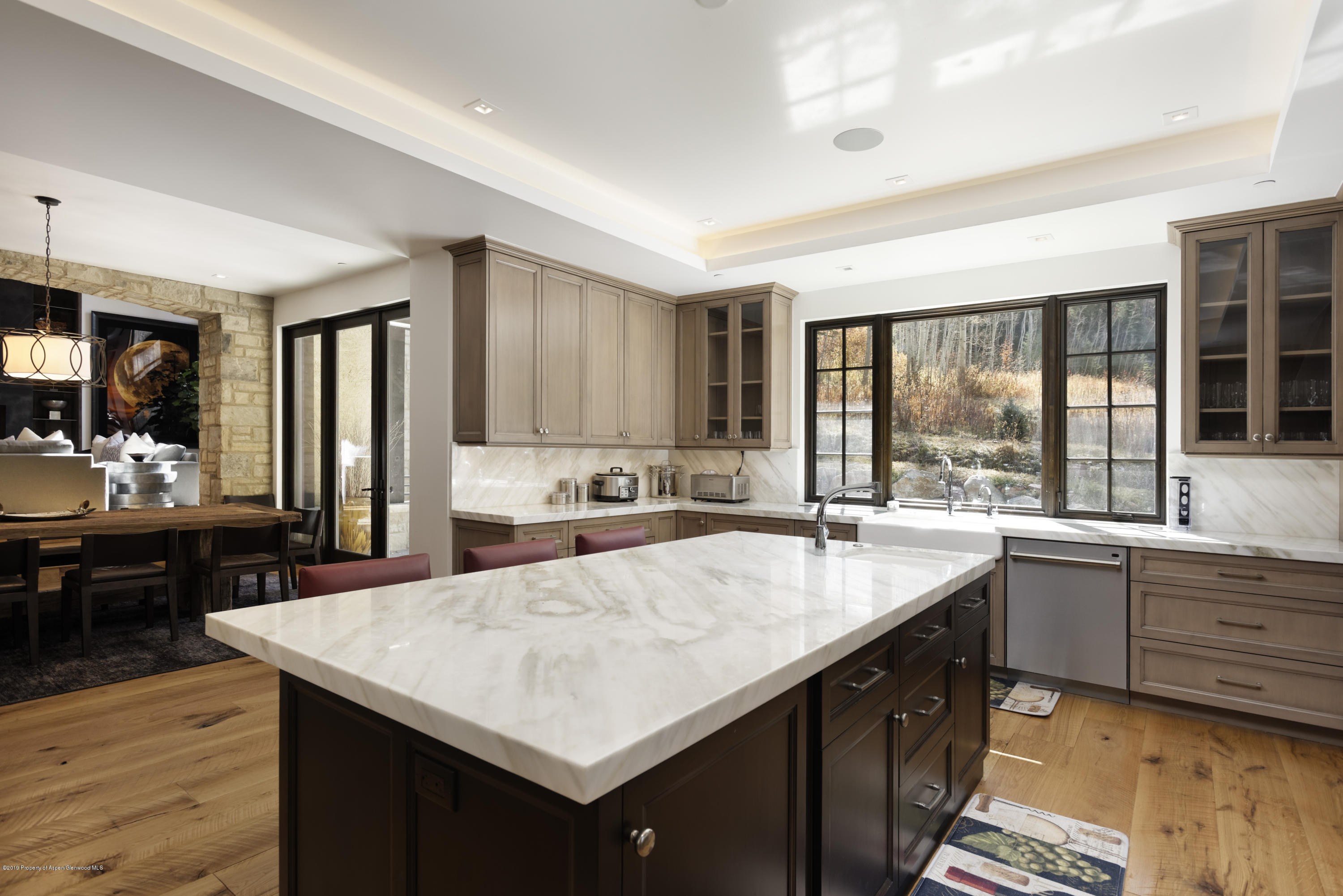 235 Exhibition Lane Aspen CO 81611