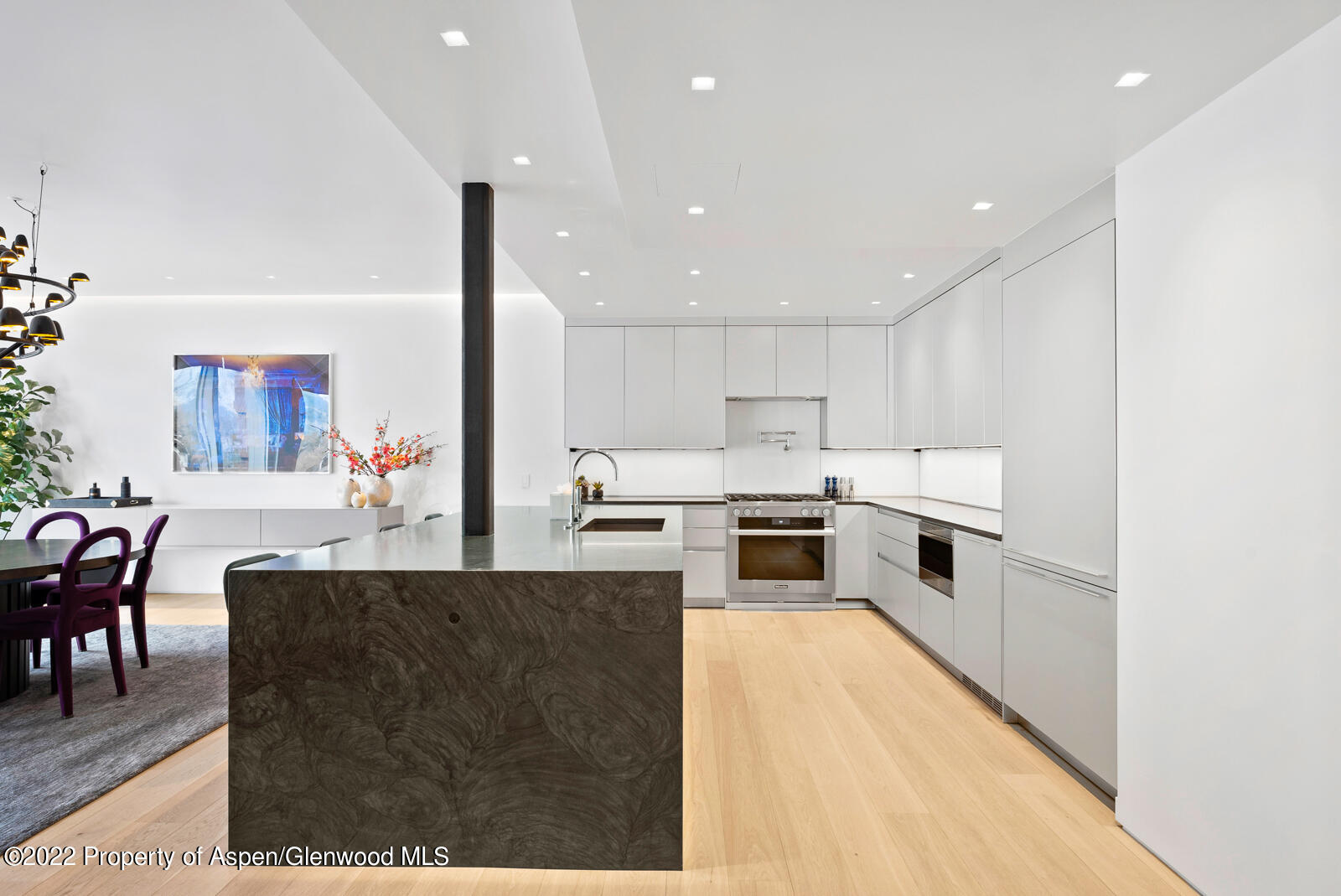 508 E Cooper Avenue Aspen CO 81611