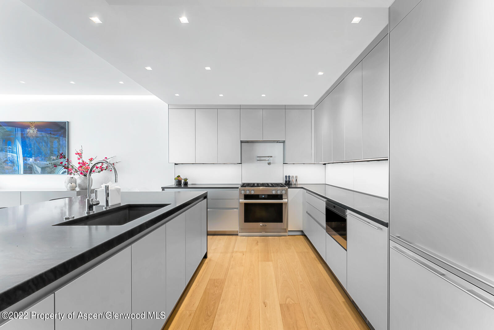 508 E Cooper Avenue Aspen CO 81611