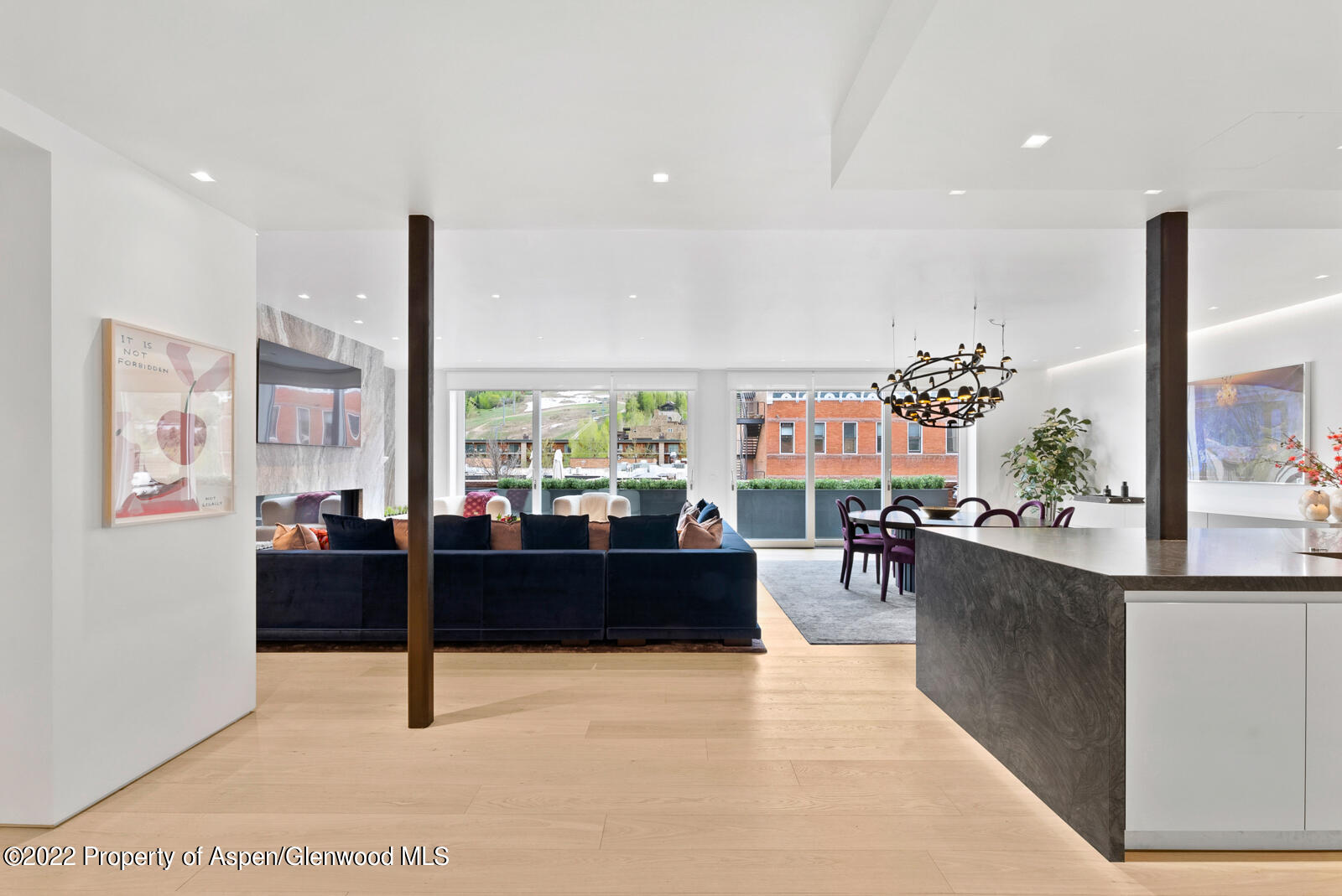 508 E Cooper Avenue Aspen CO 81611