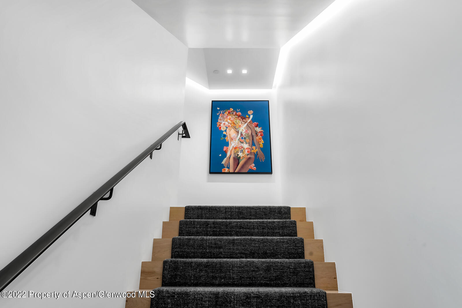 508 E Cooper Avenue Aspen CO 81611