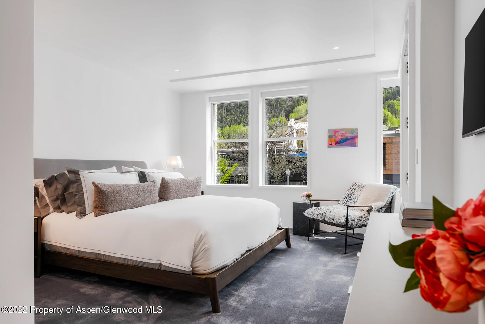 508 E Cooper Avenue Aspen CO 81611