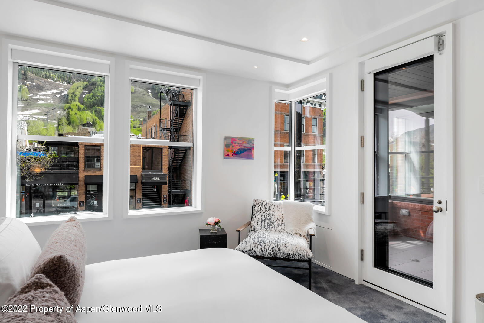 508 E Cooper Avenue Aspen CO 81611