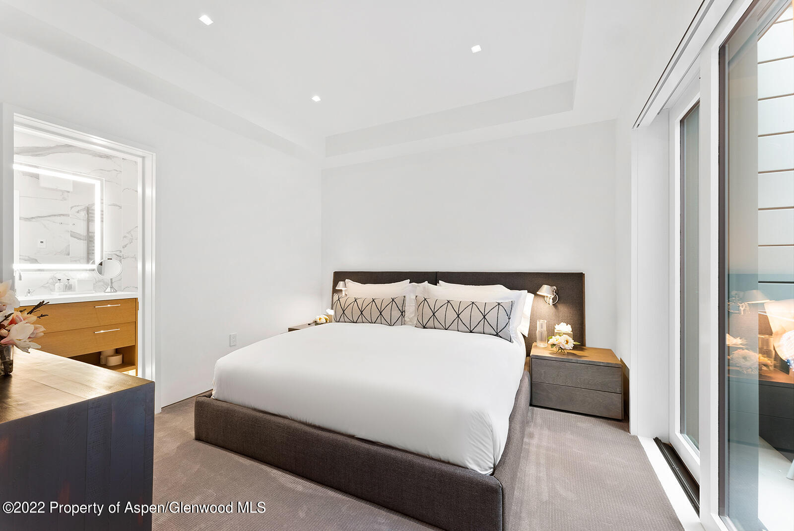 508 E Cooper Avenue Aspen CO 81611