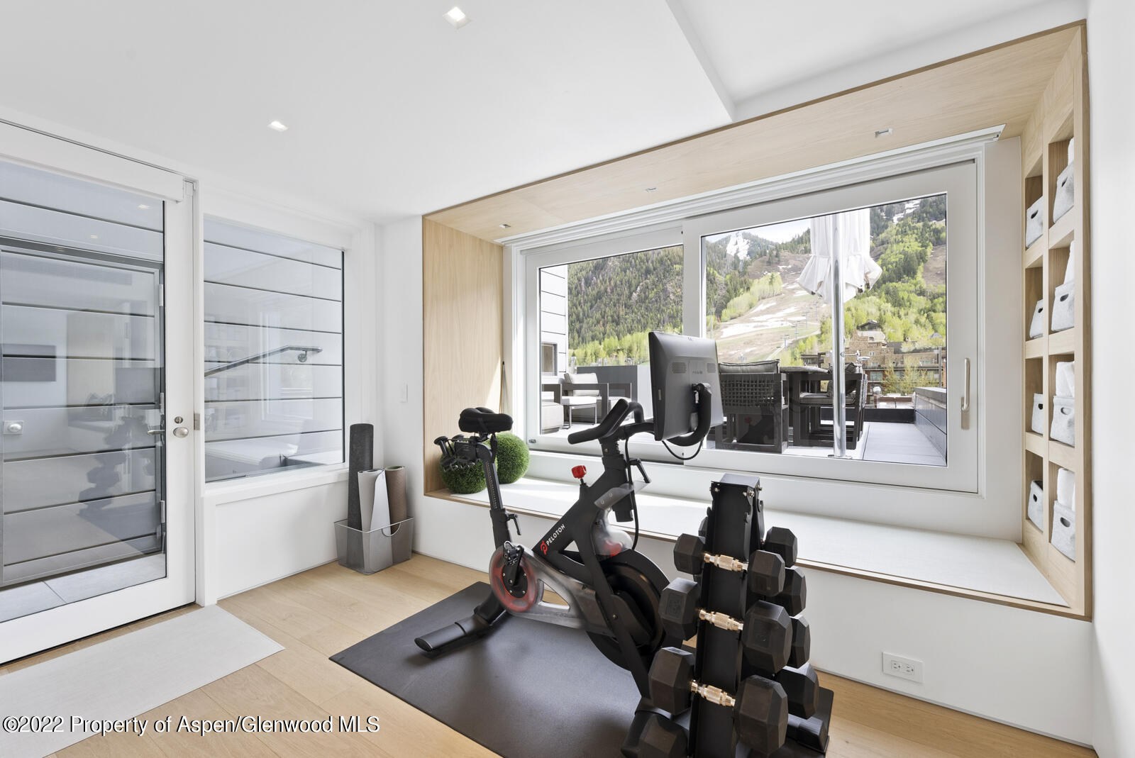 508 E Cooper Avenue Aspen CO 81611