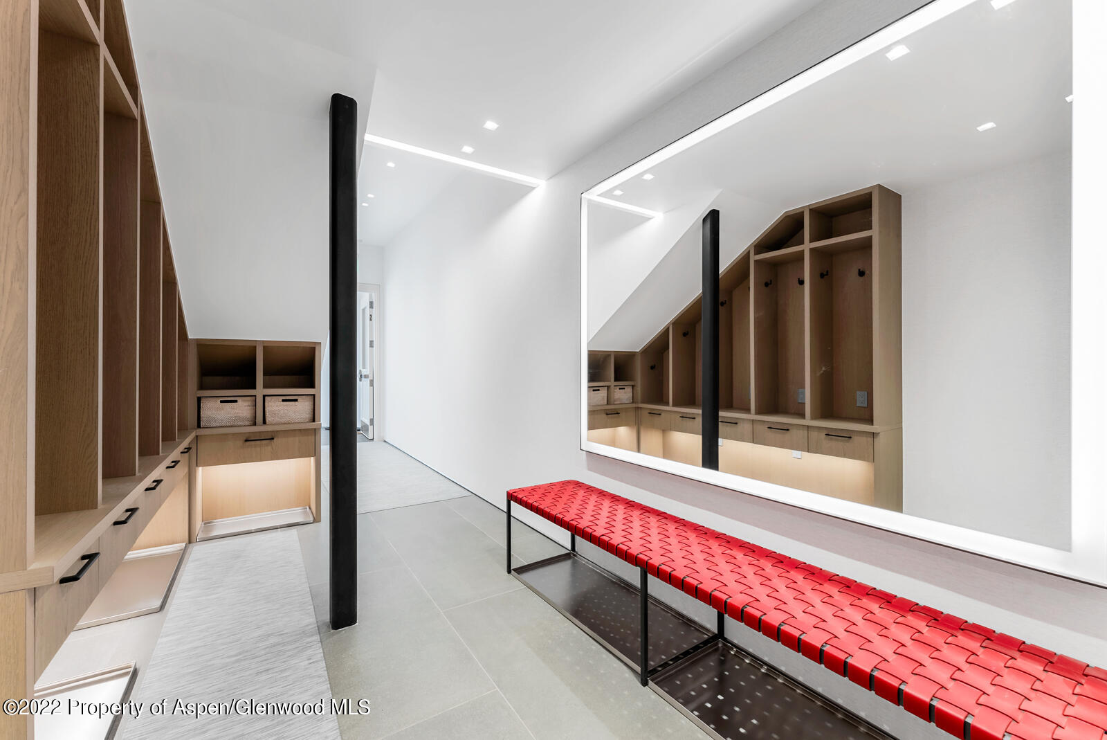 508 E Cooper Avenue Aspen CO 81611